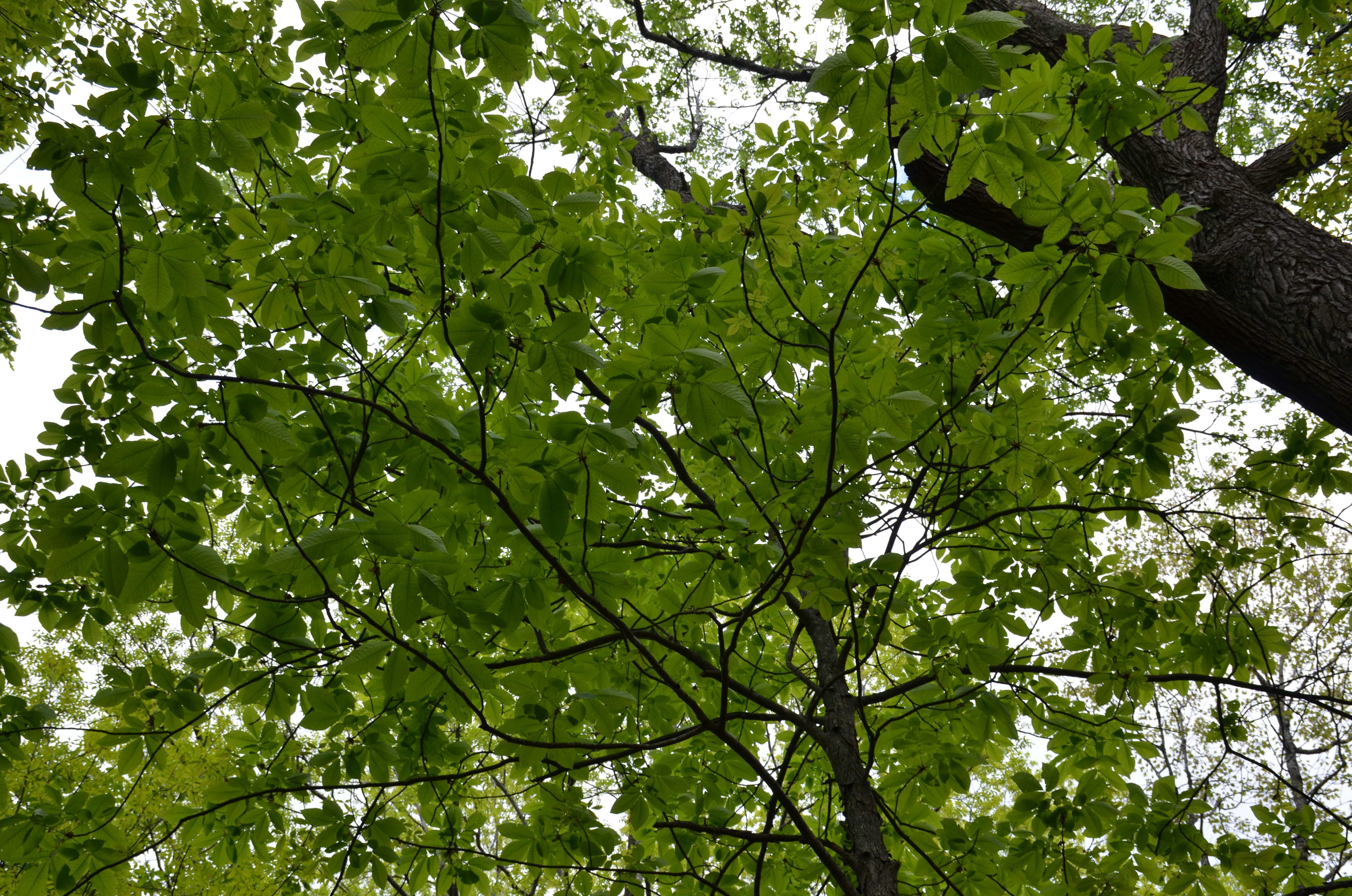 Photo by david_young