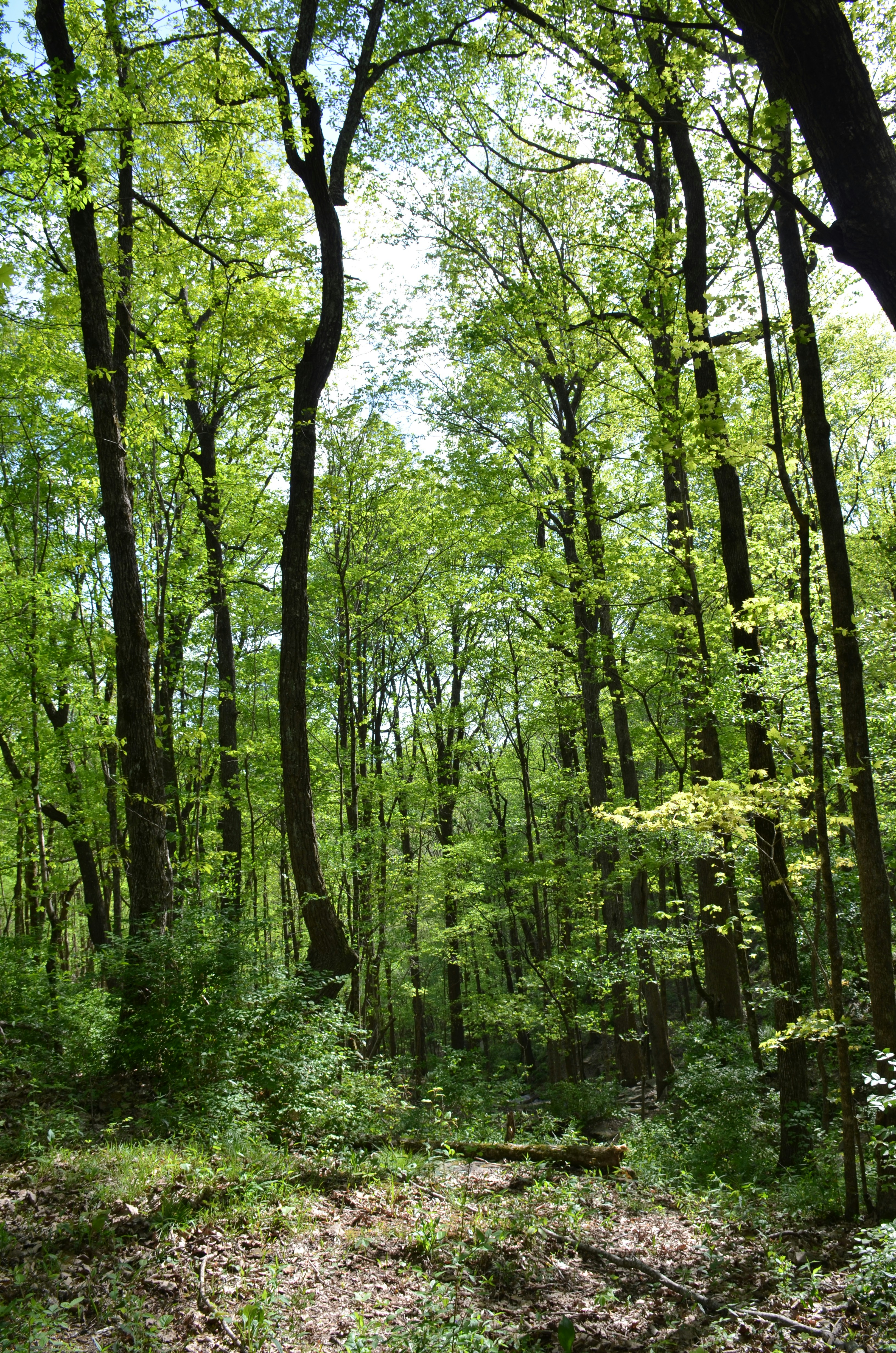 Photo by david_young