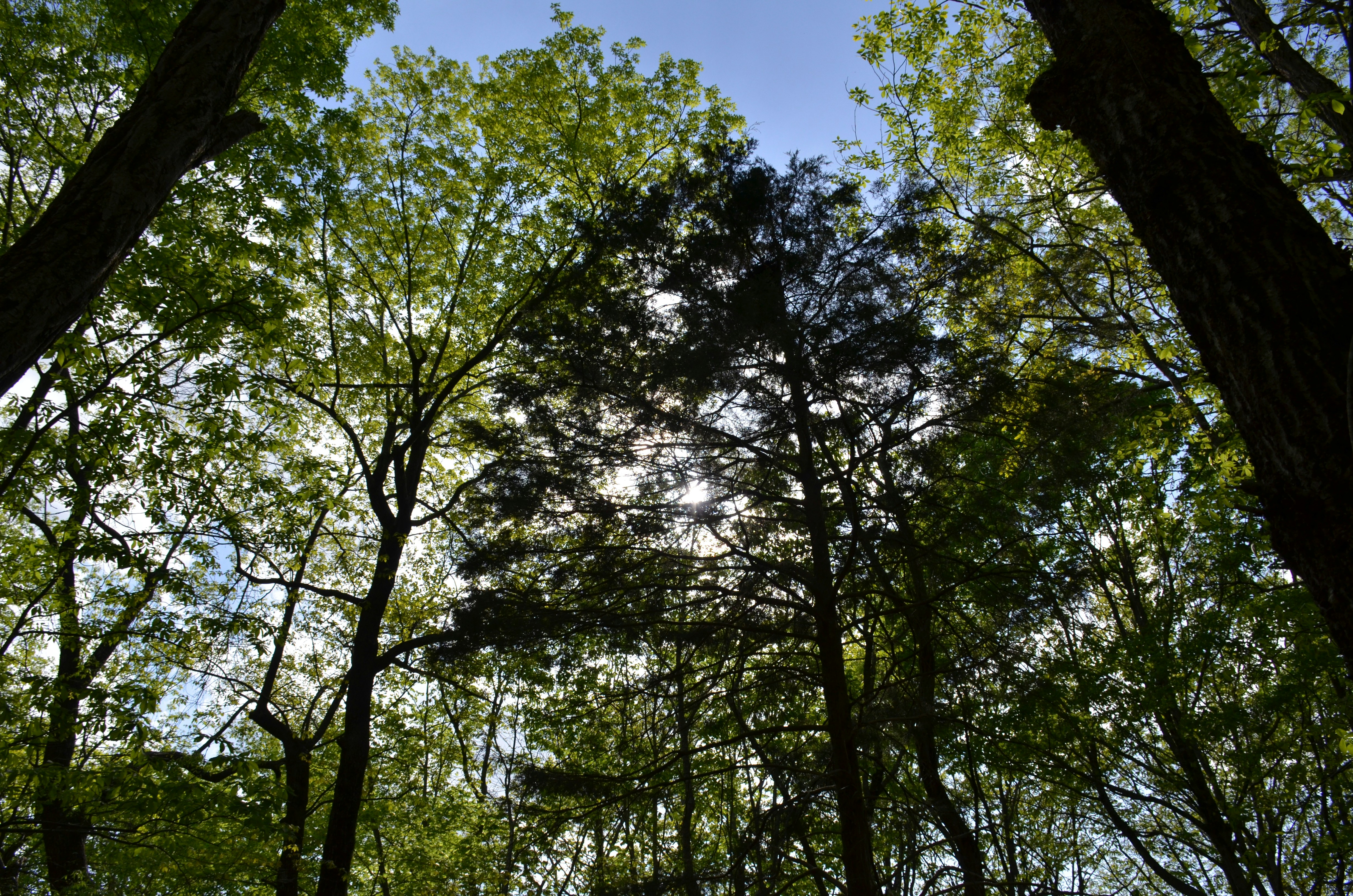 Photo by david_young