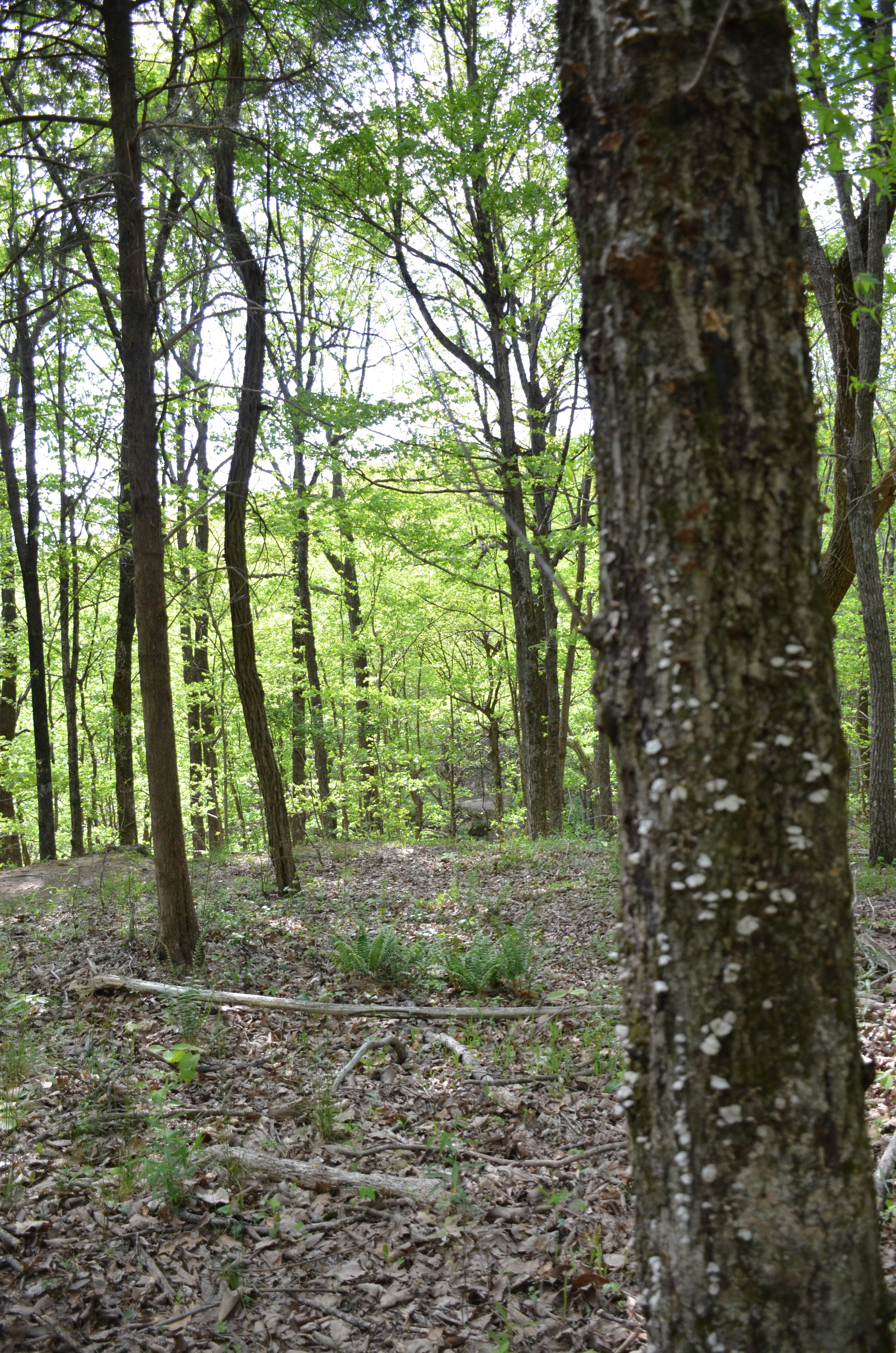 Photo by david_young