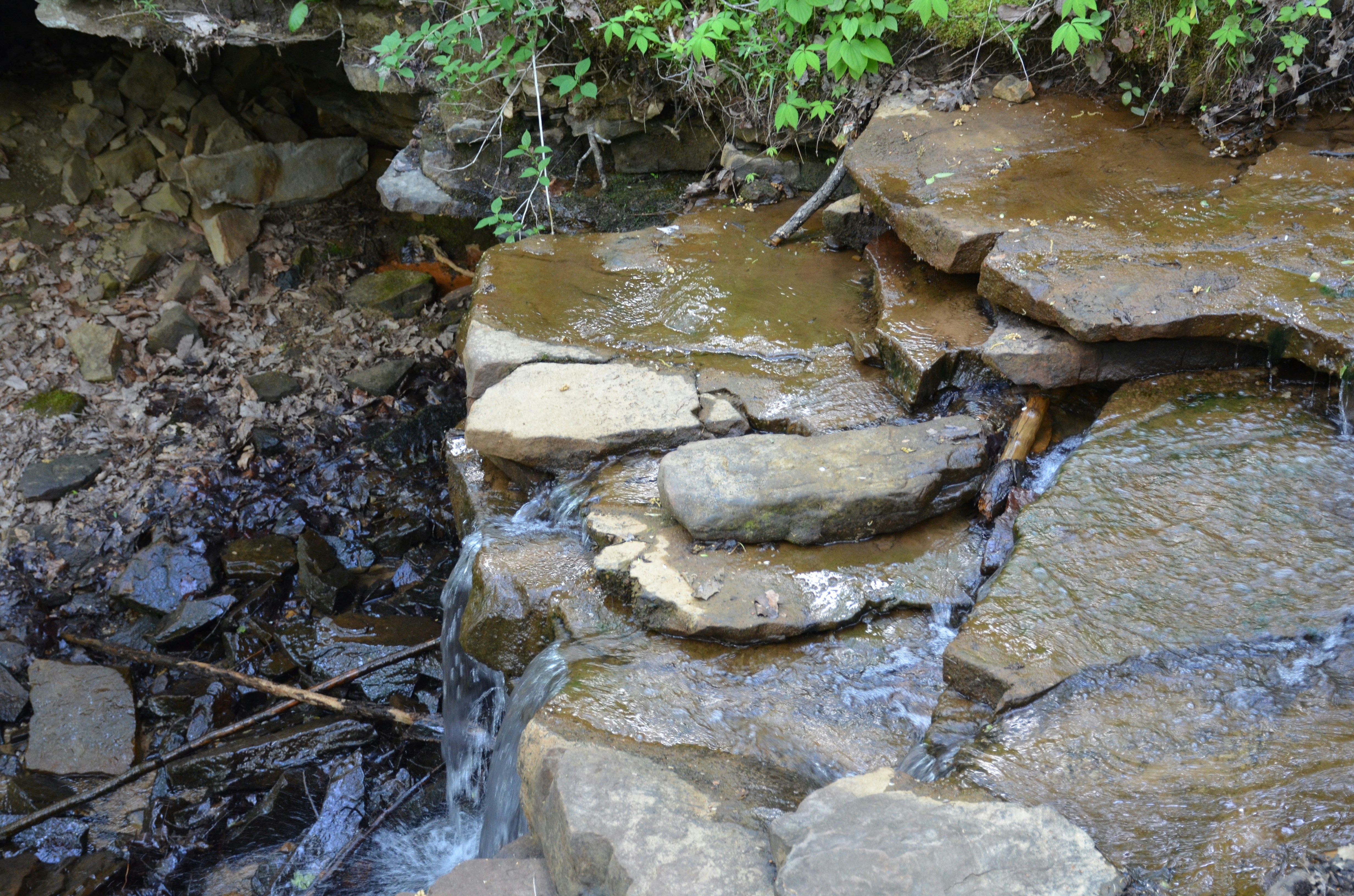 Photo by david_young