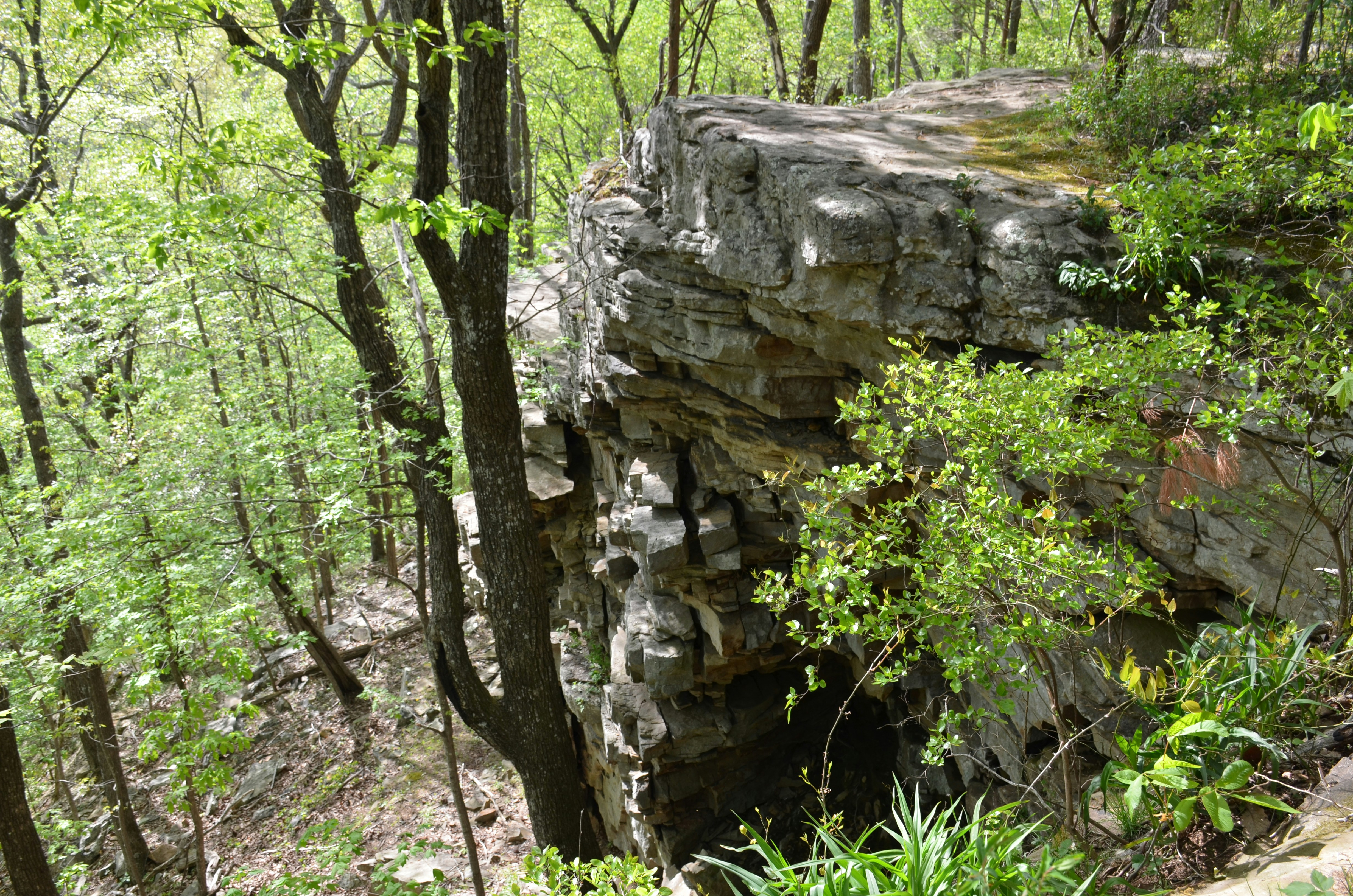 Photo by david_young