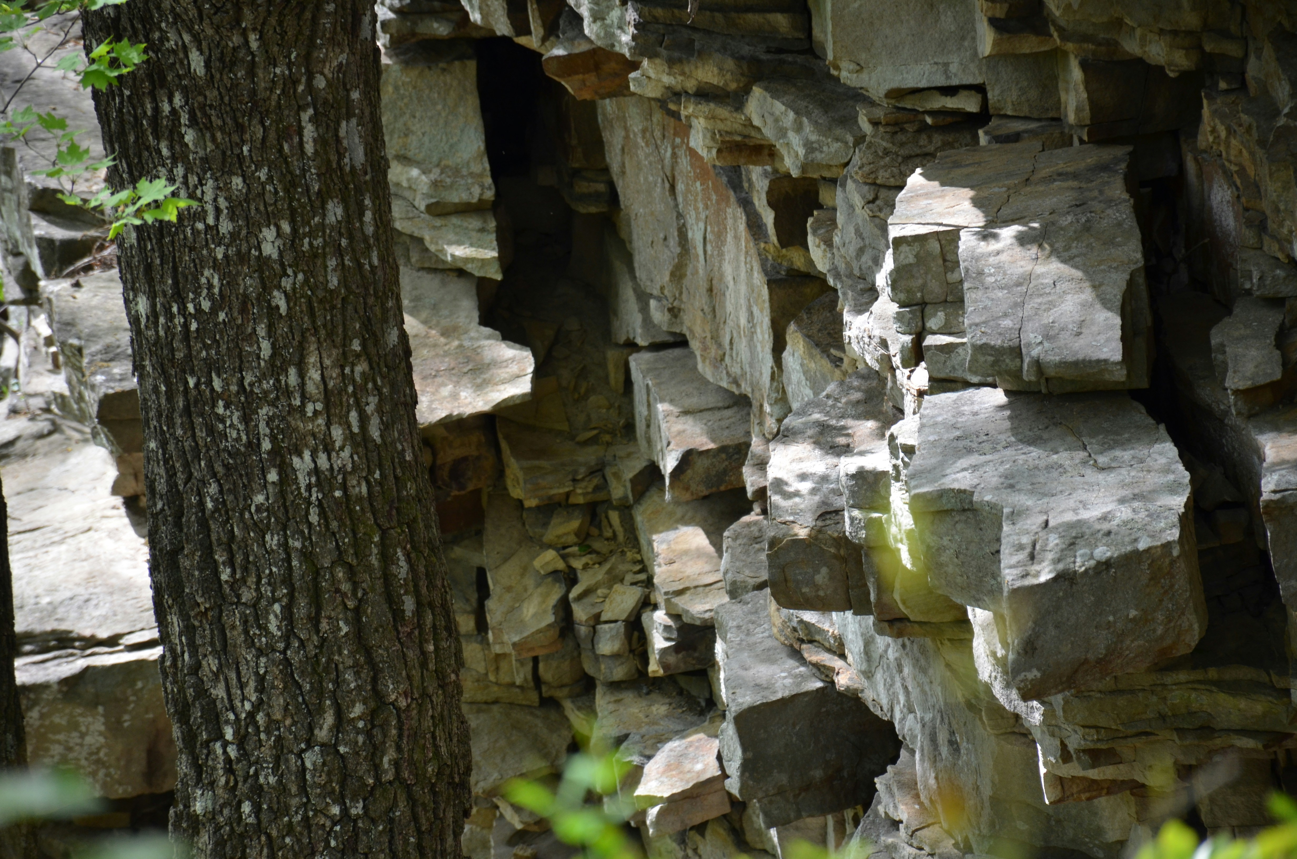 Photo by david_young