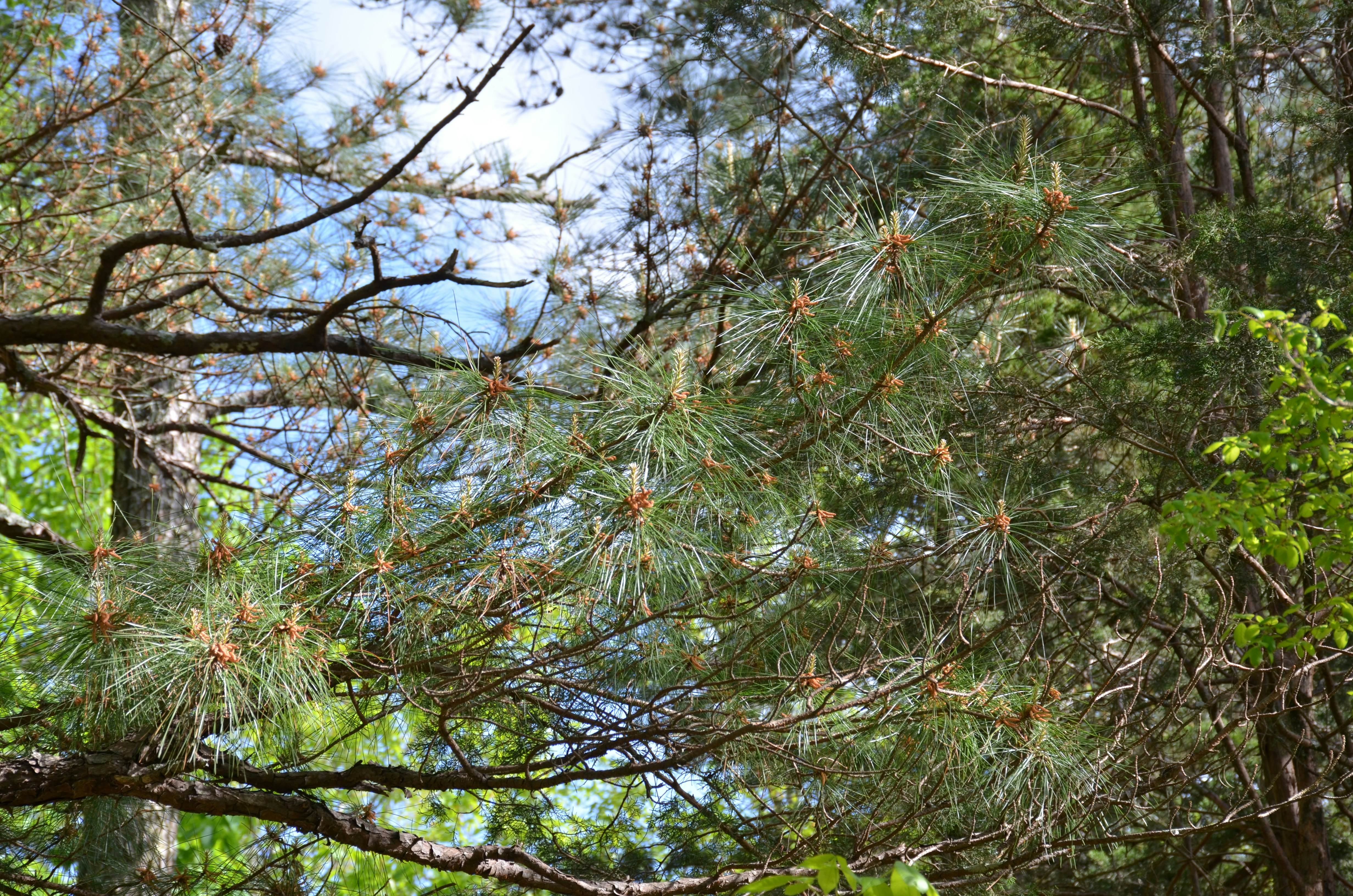 Photo by david_young