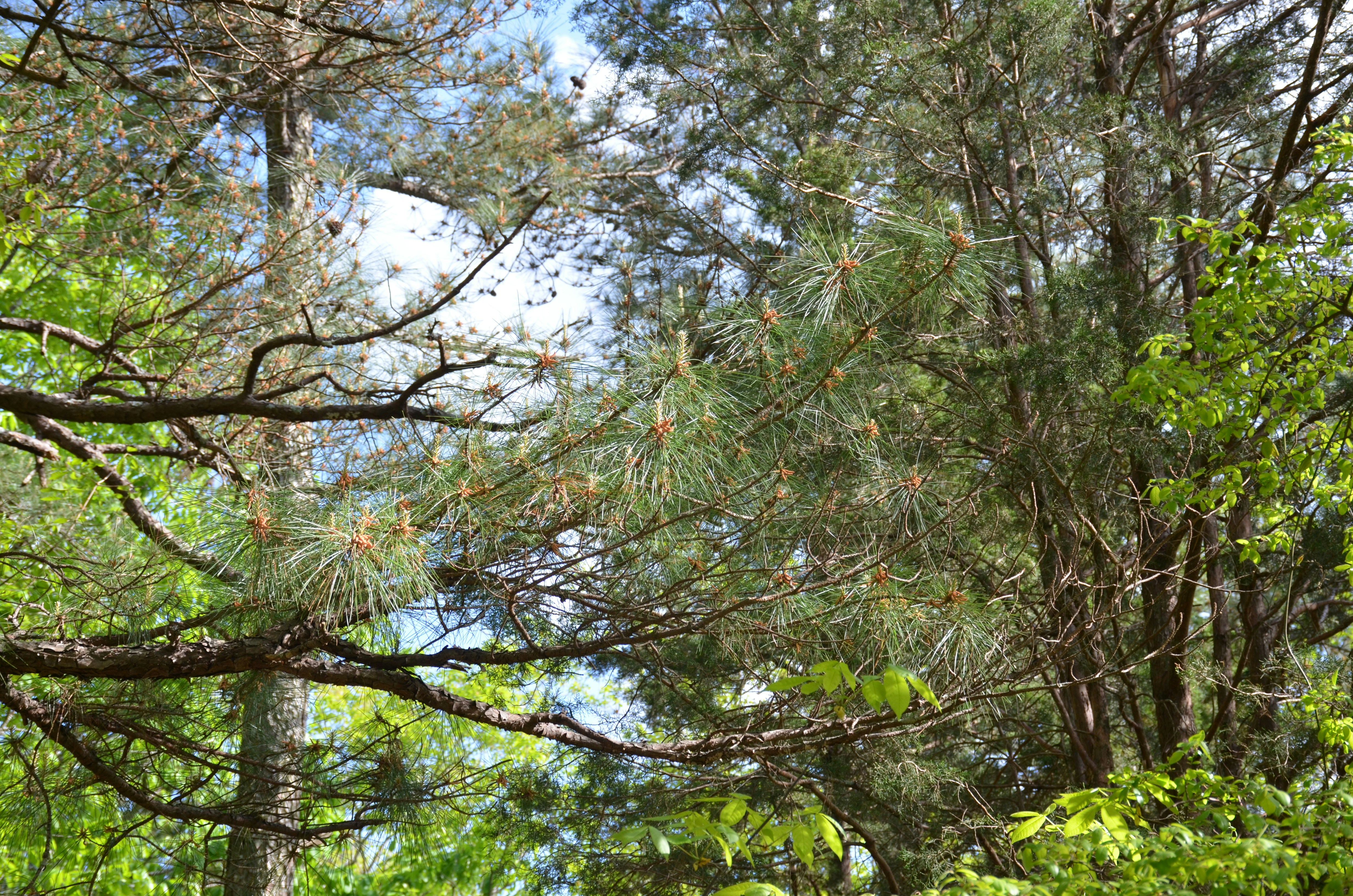 Photo by david_young