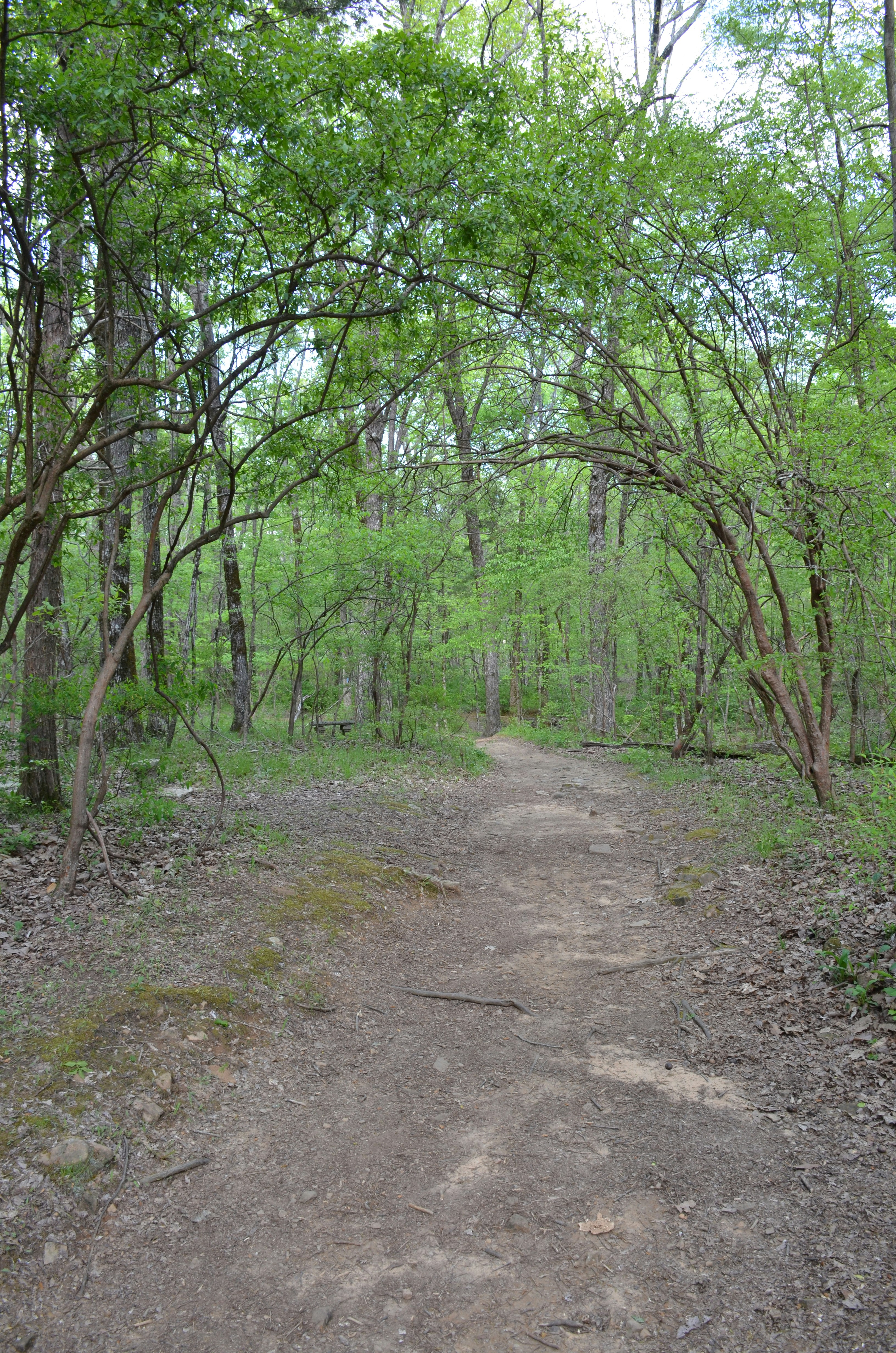 Photo by david_young