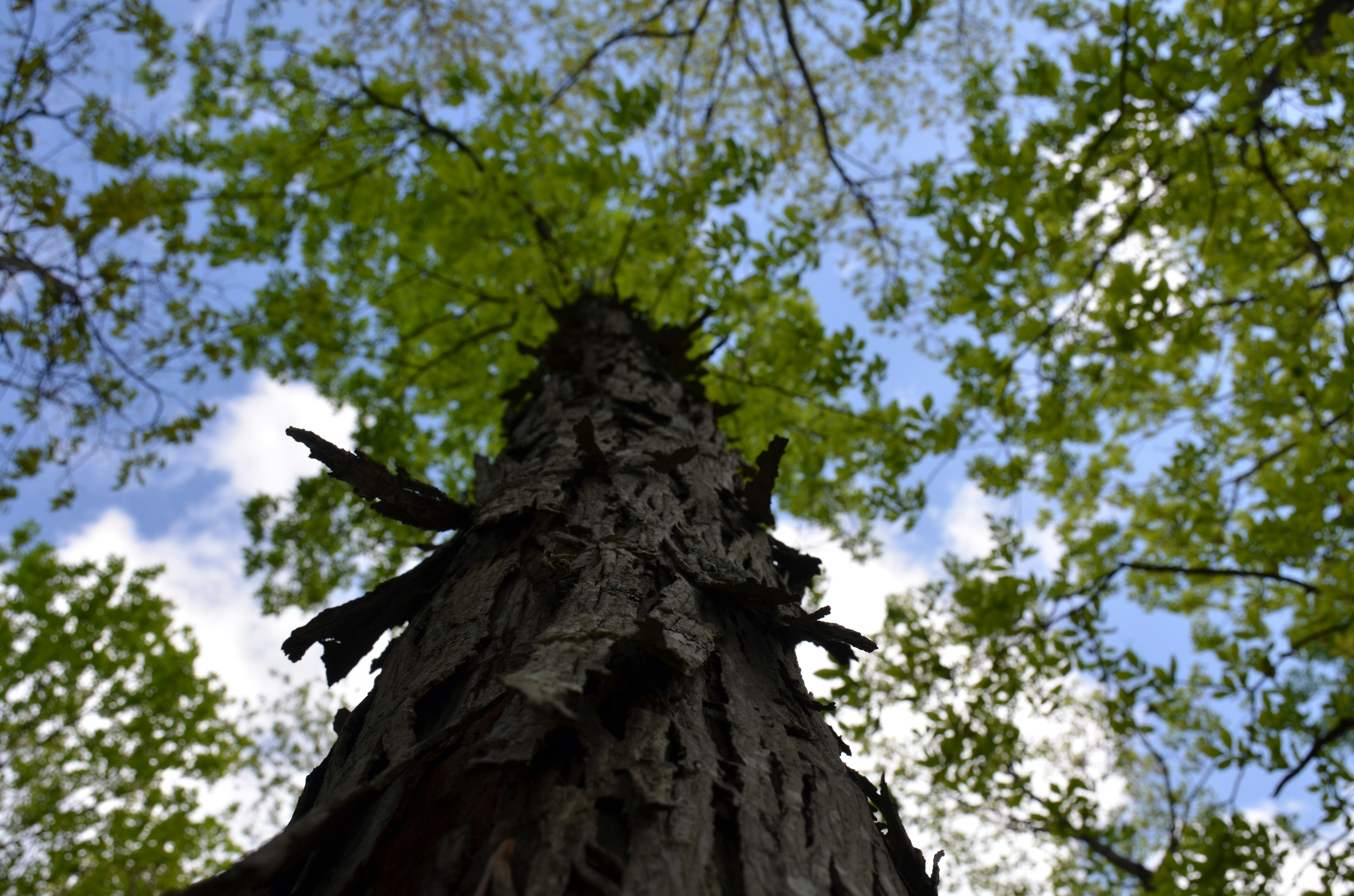 Photo by david_young