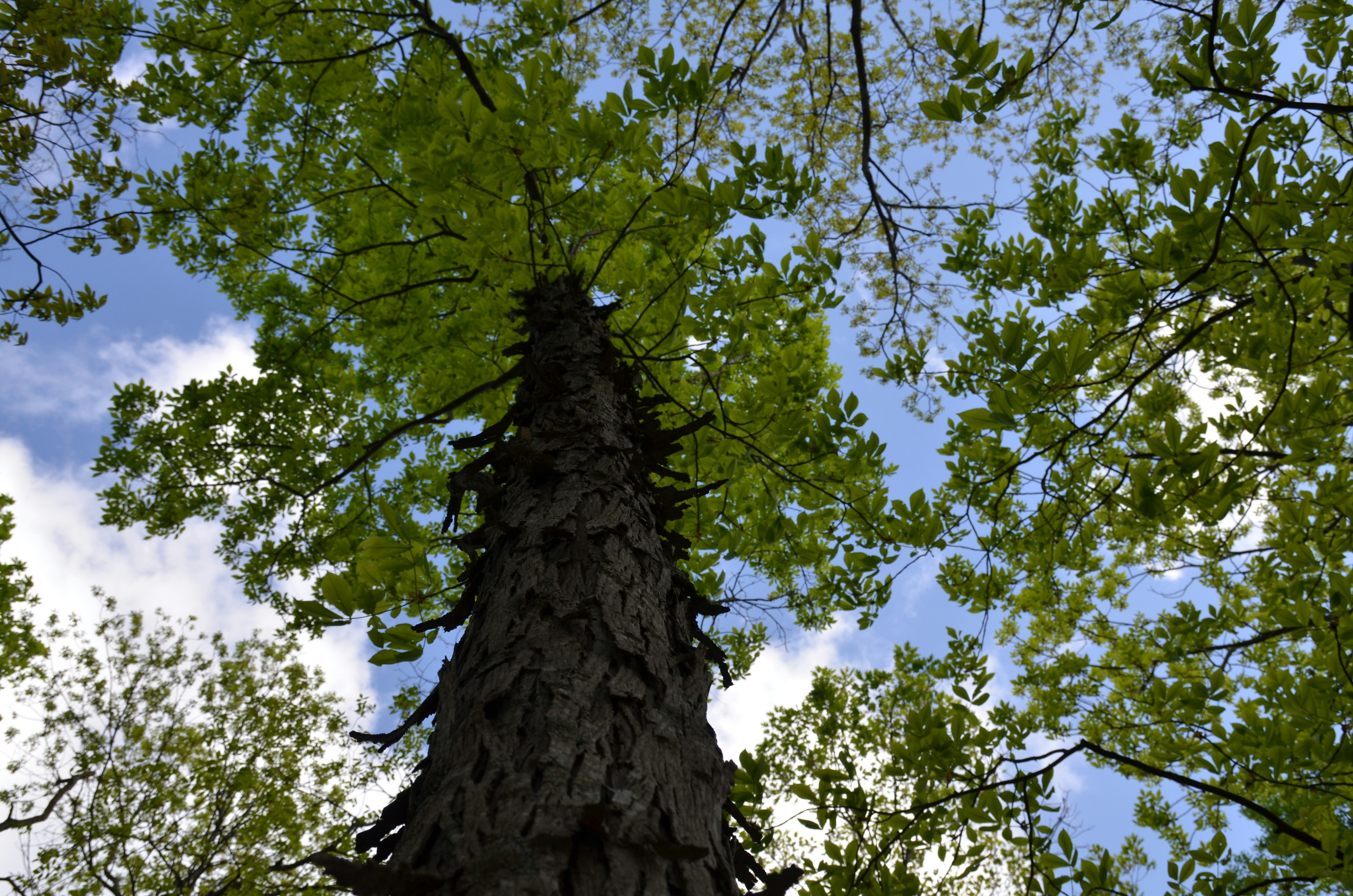 Photo by david_young