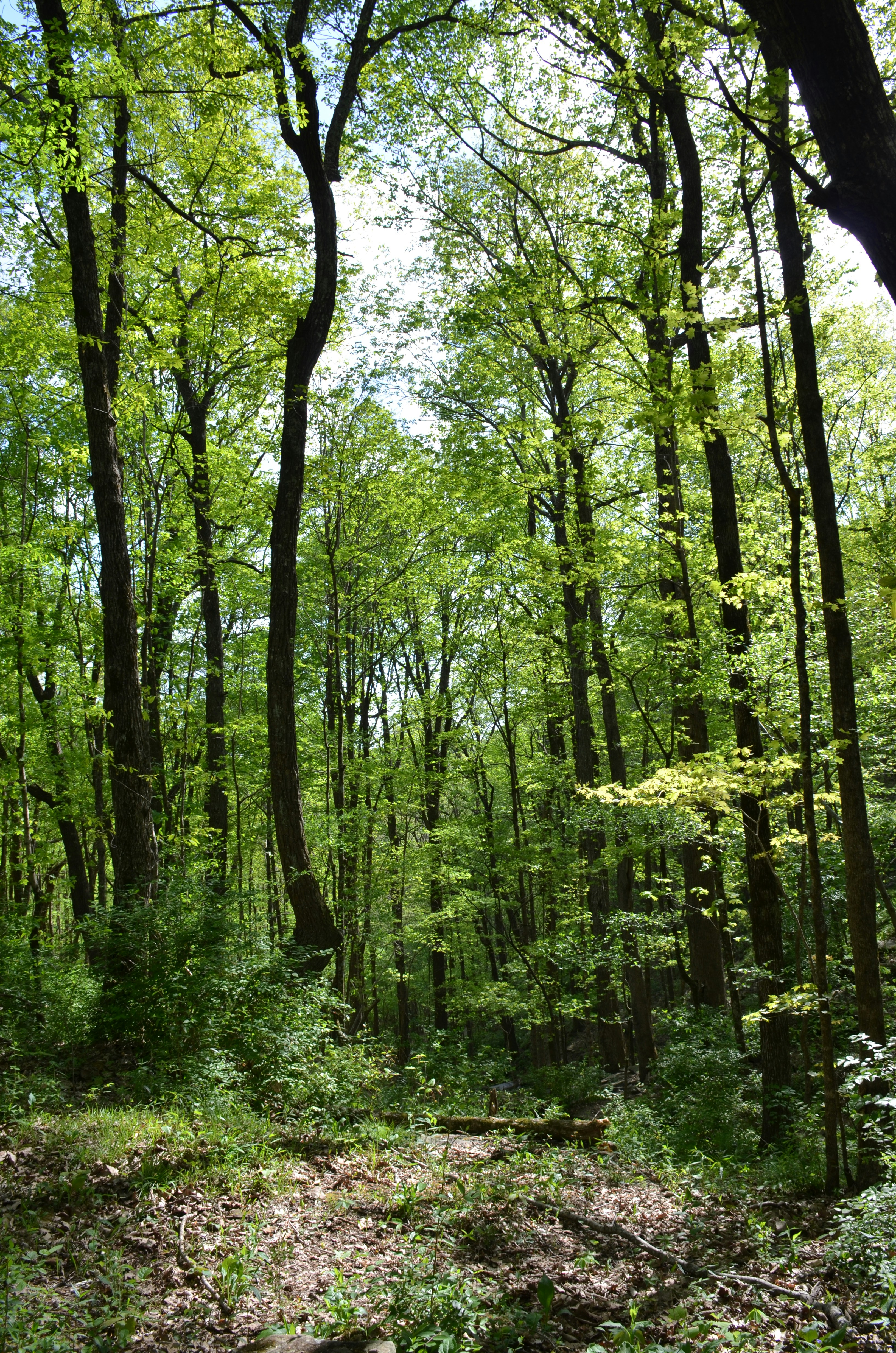 Photo by david_young