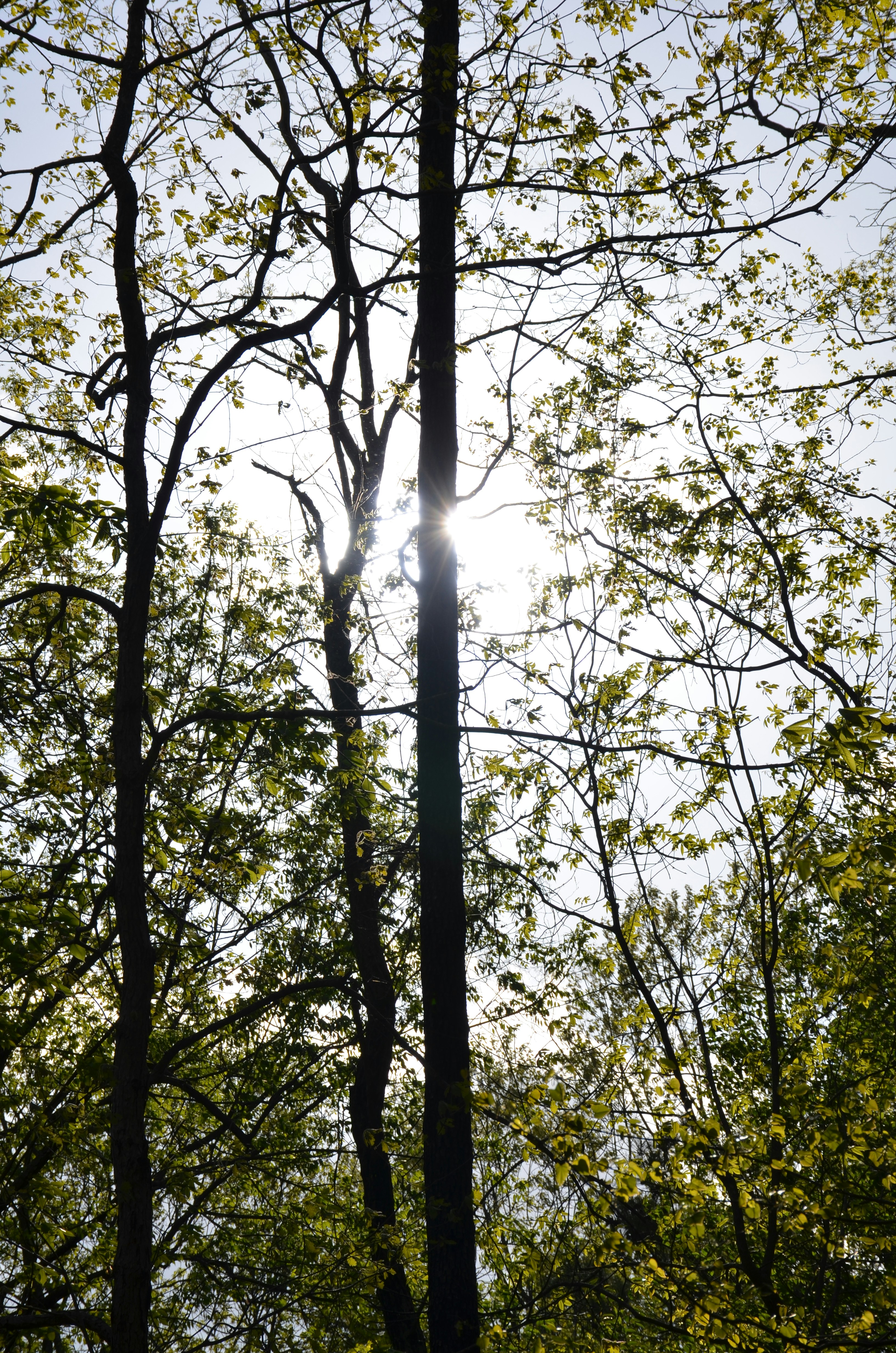 Photo by david_young