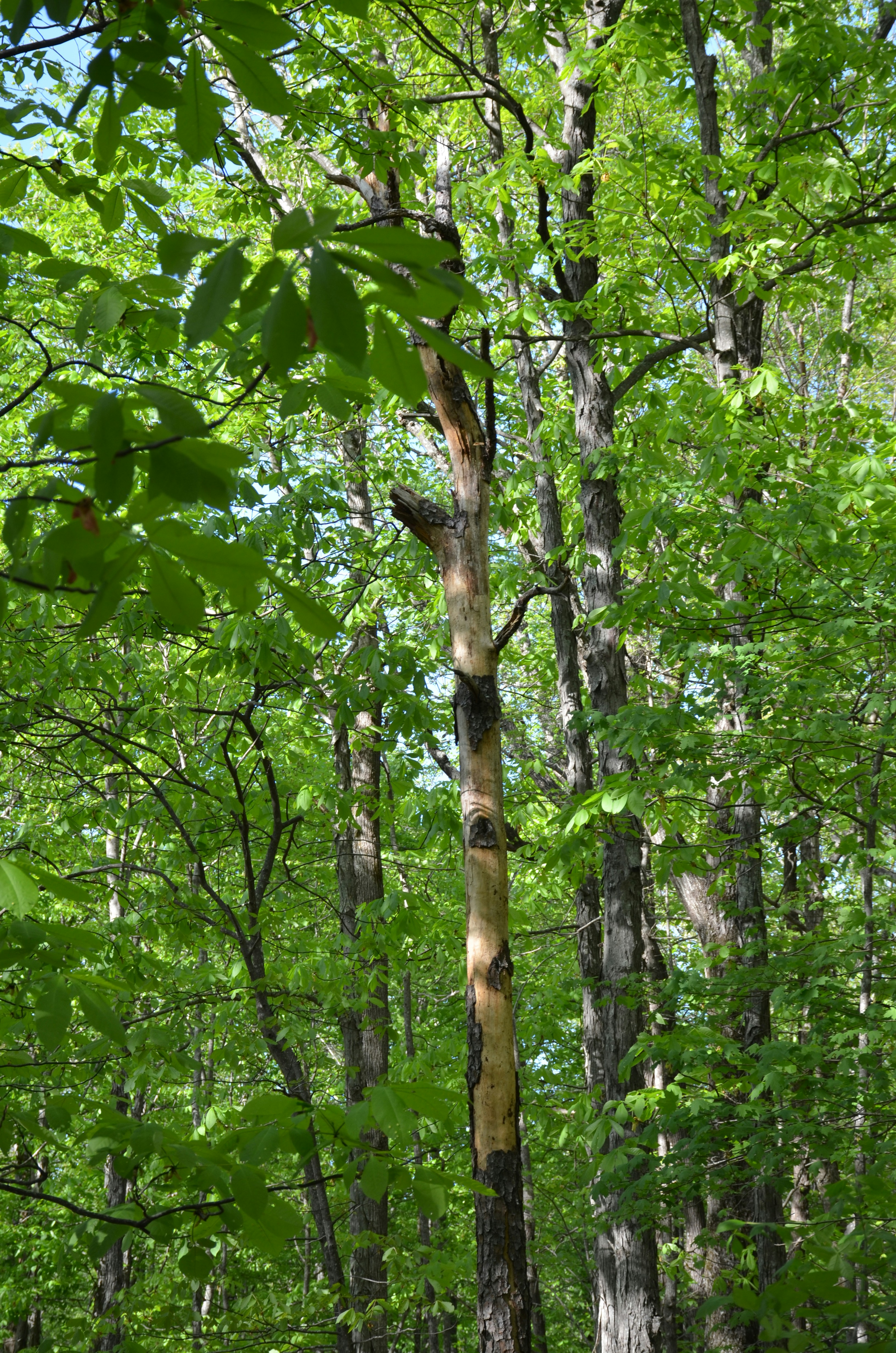 Photo by david_young