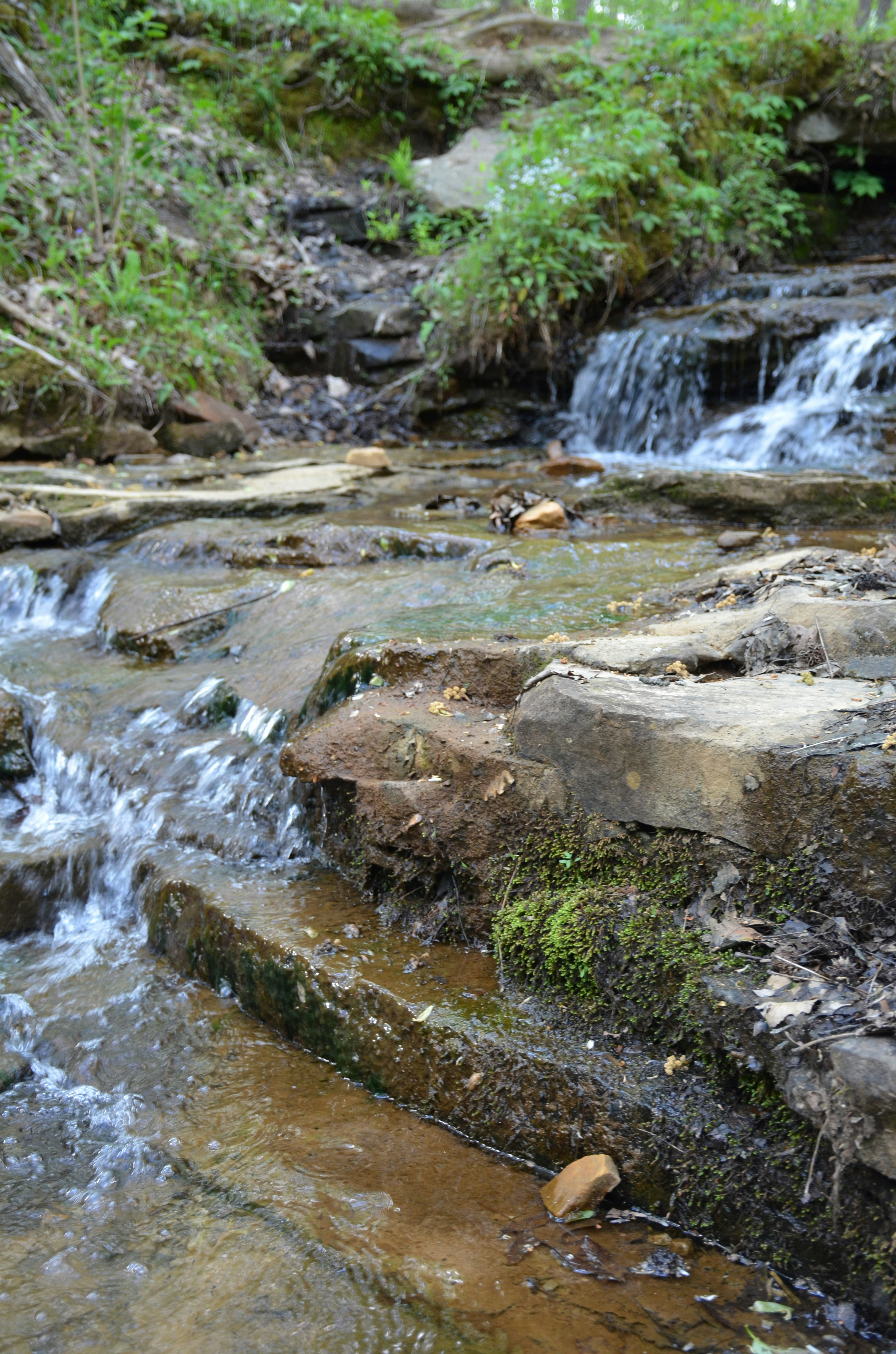 Photo by david_young