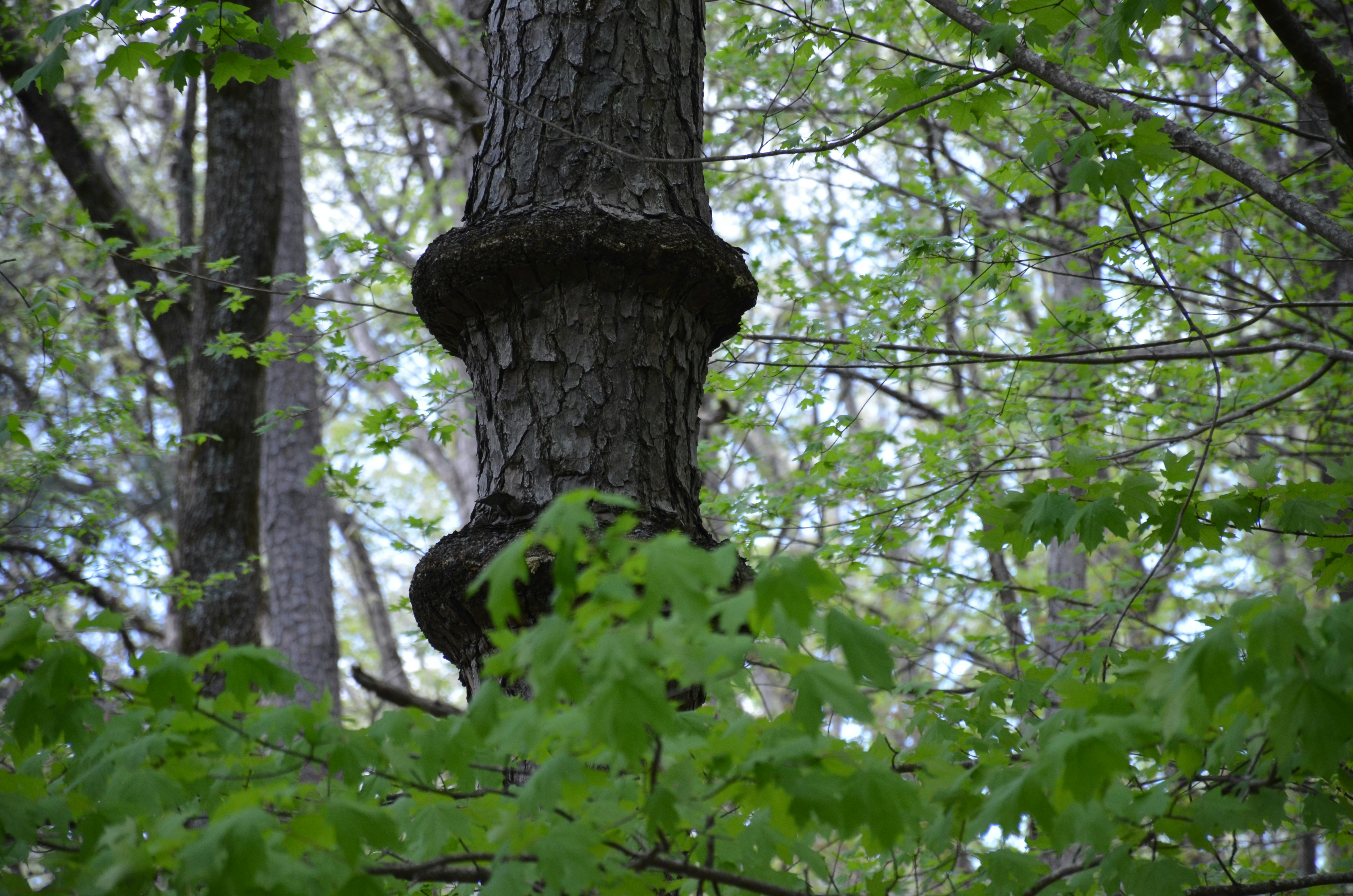 Photo by david_young