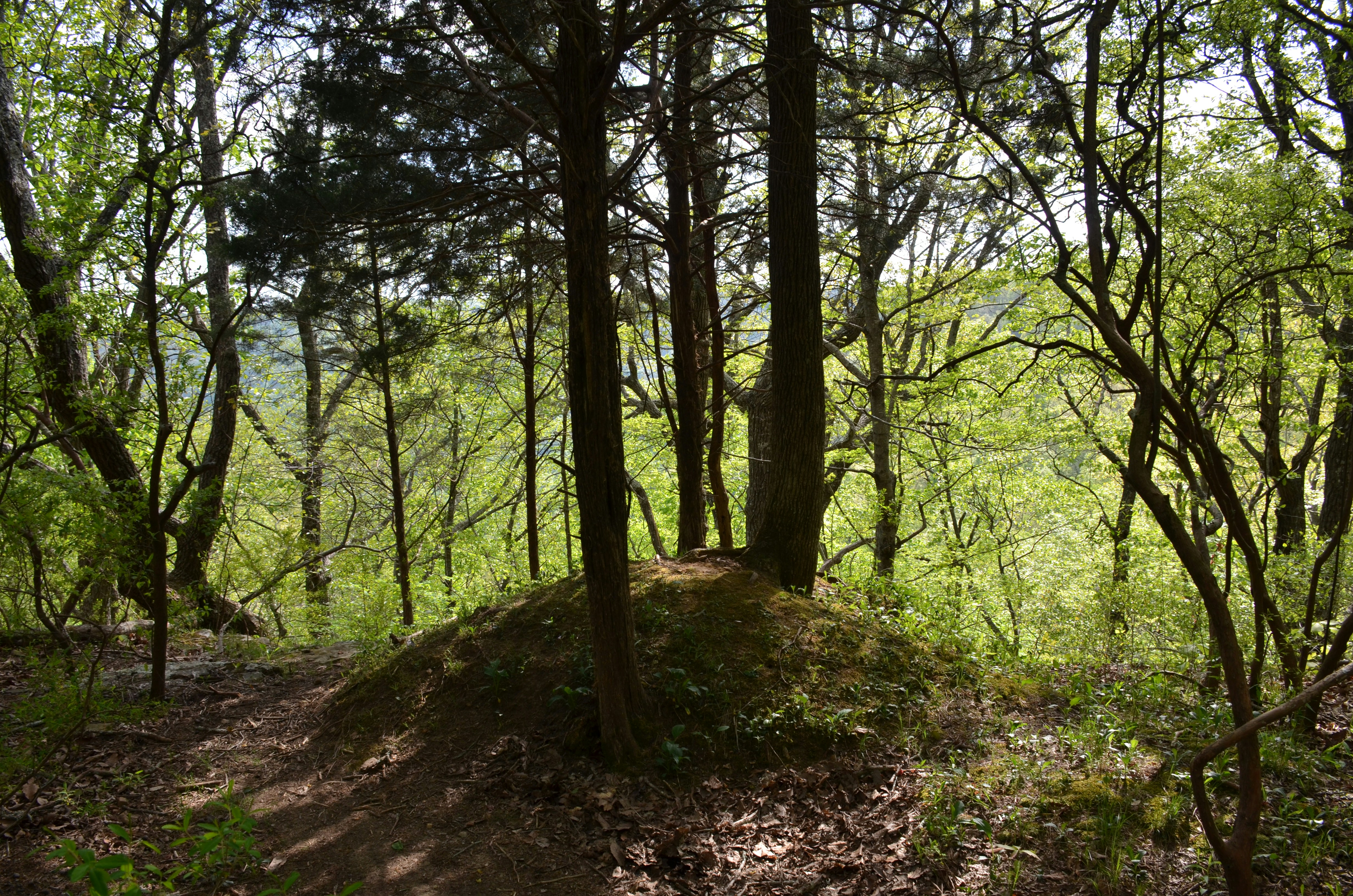 Photo by david_young