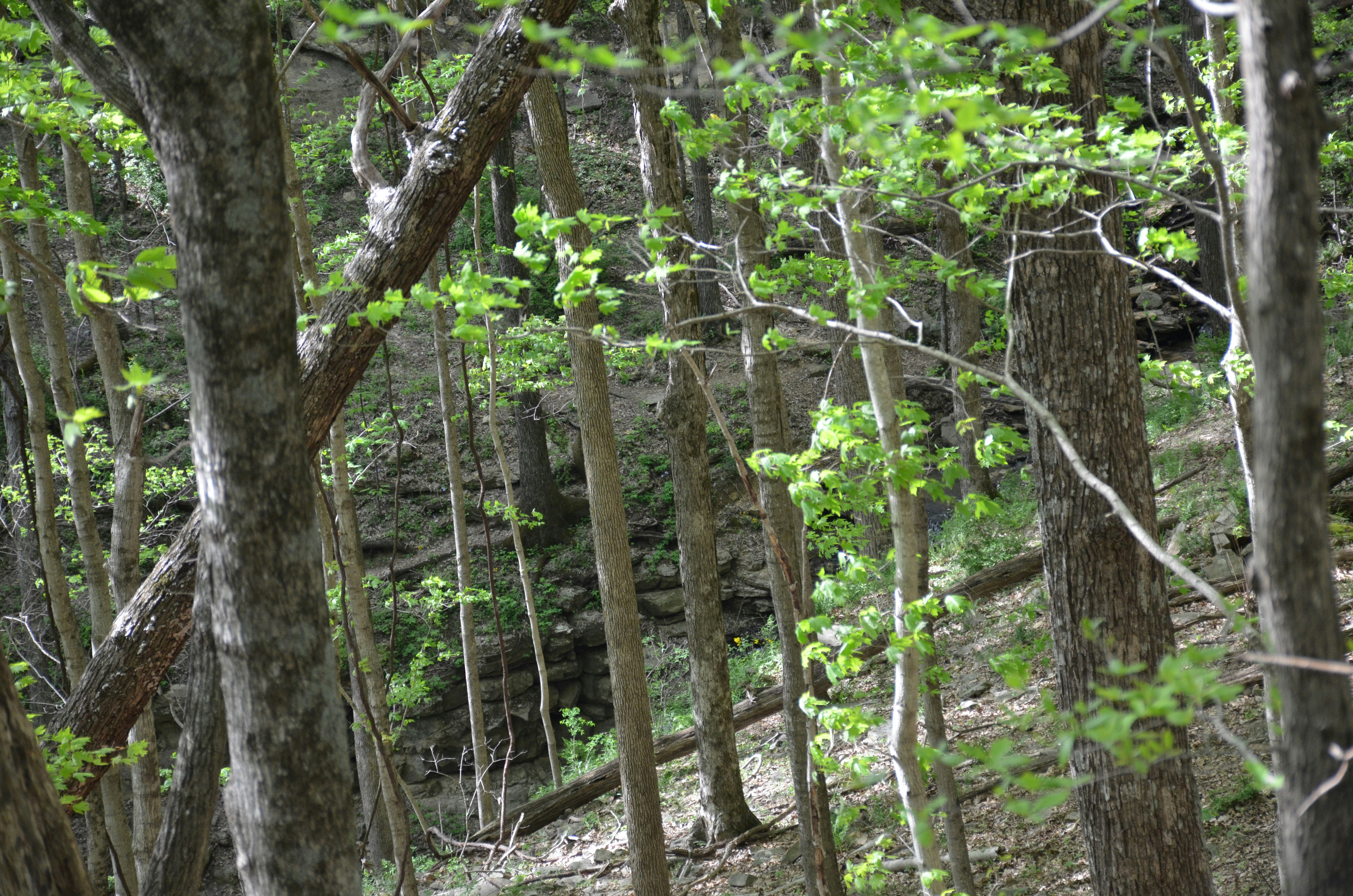 Photo by david_young