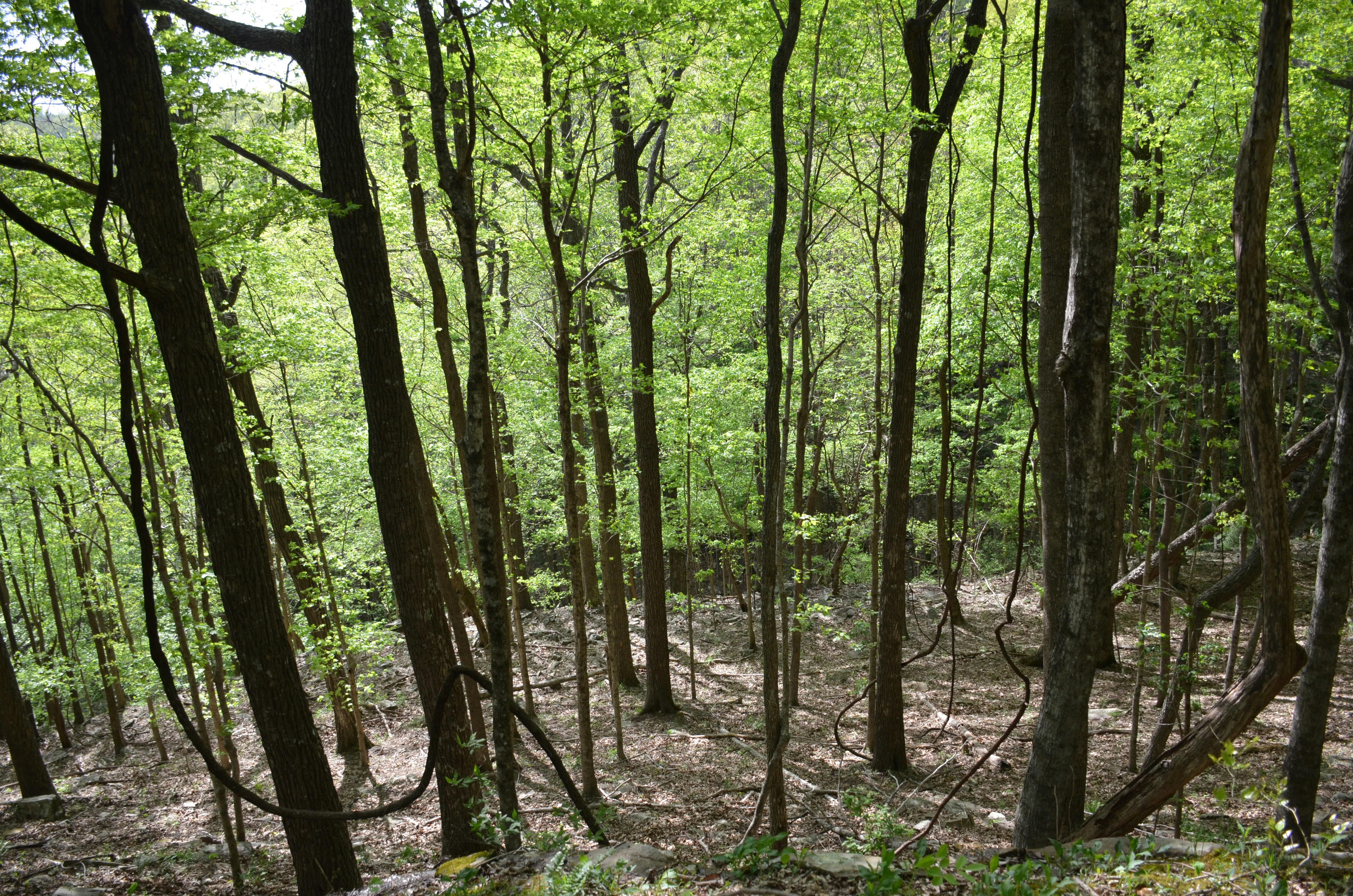 Photo by david_young