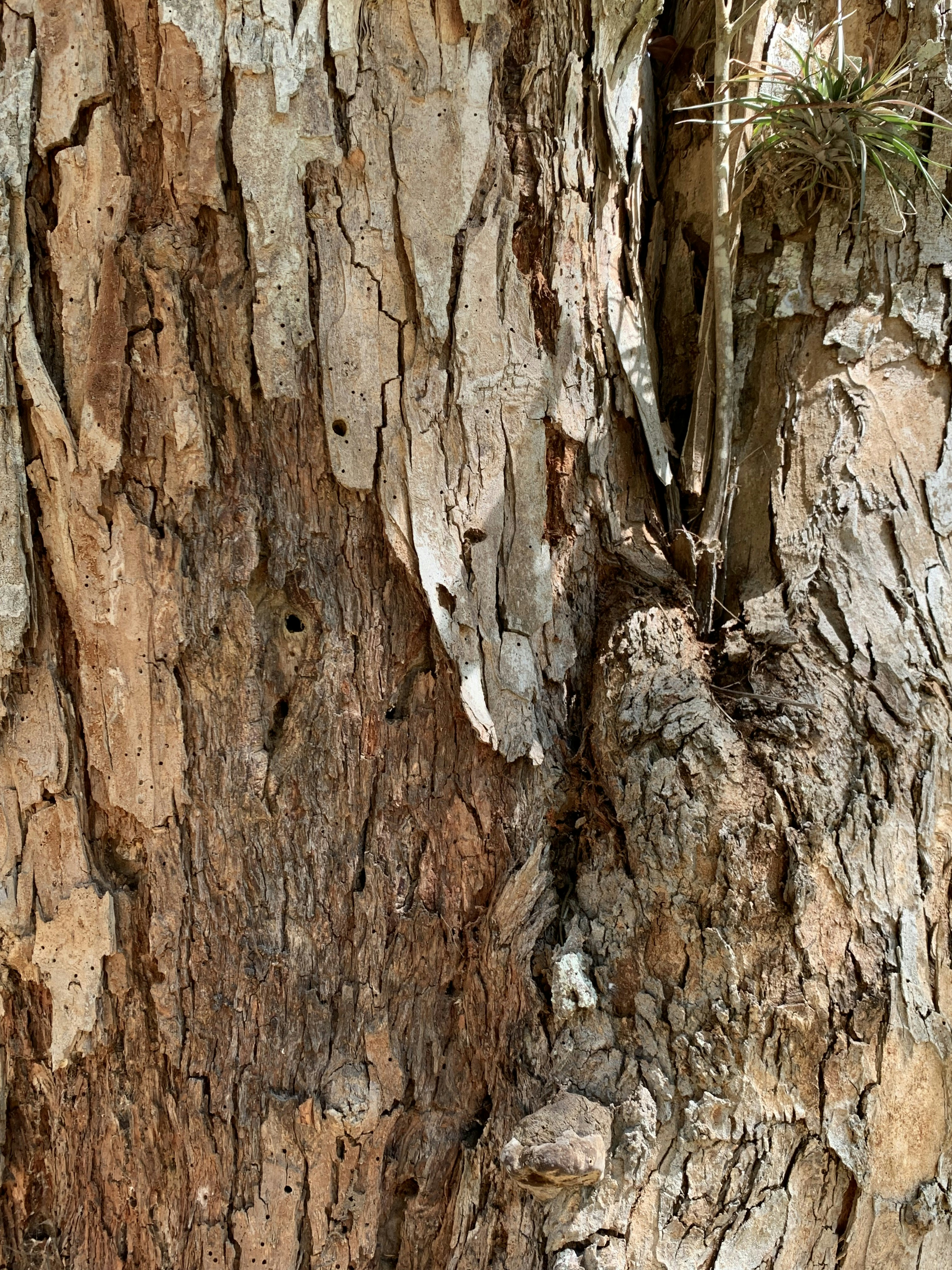 Photo by larissakopke