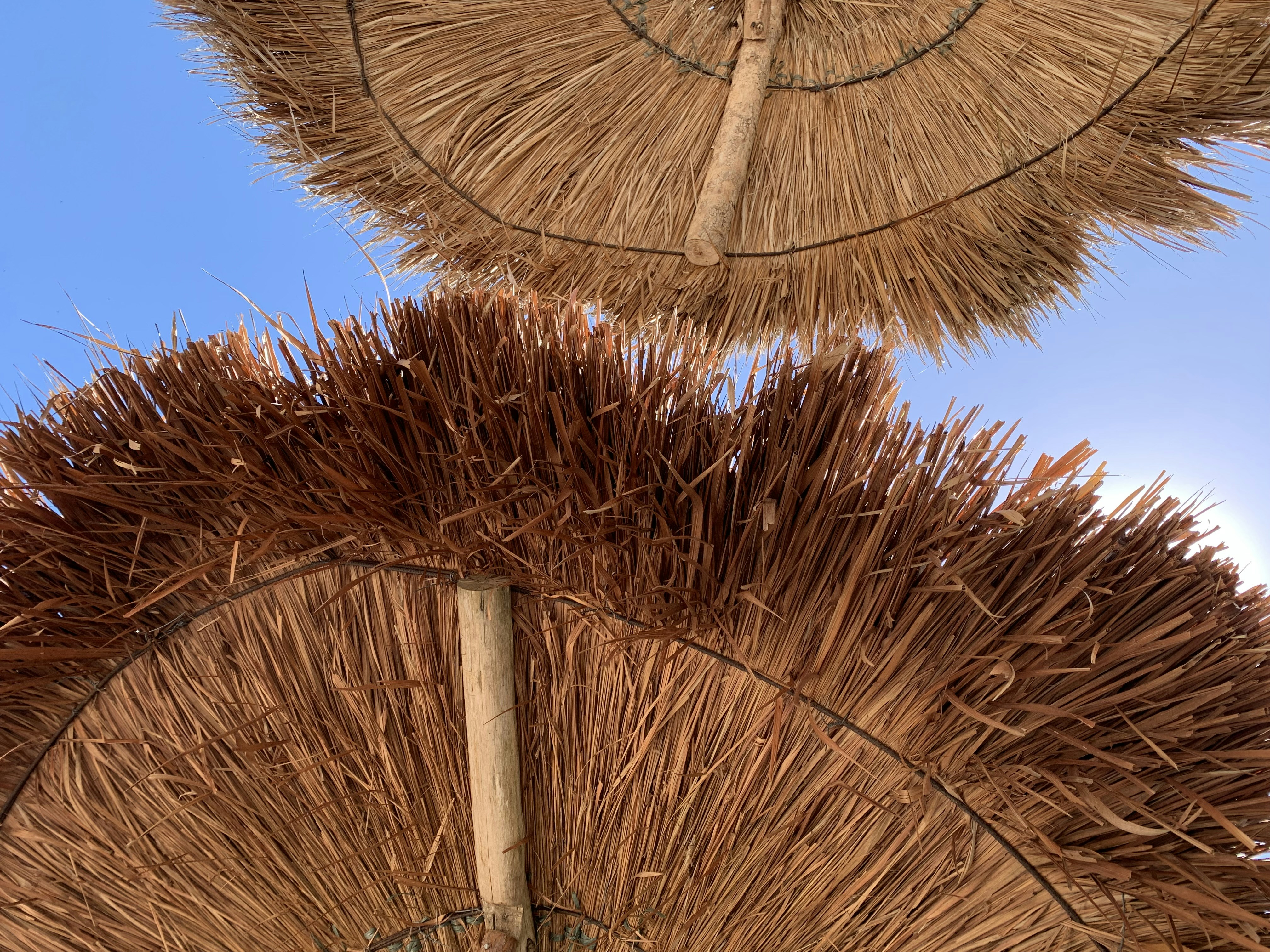 Photo by larissakopke