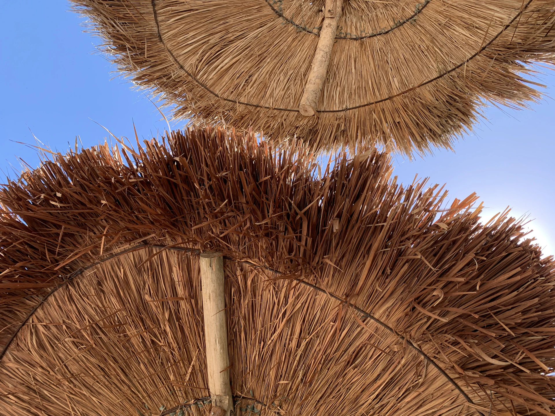 a group of straw umbrellas