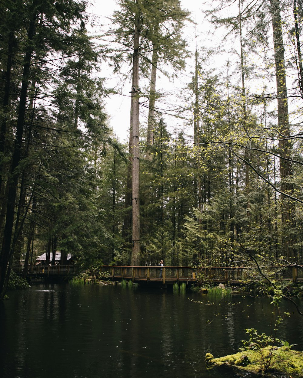 Un puente sobre un río