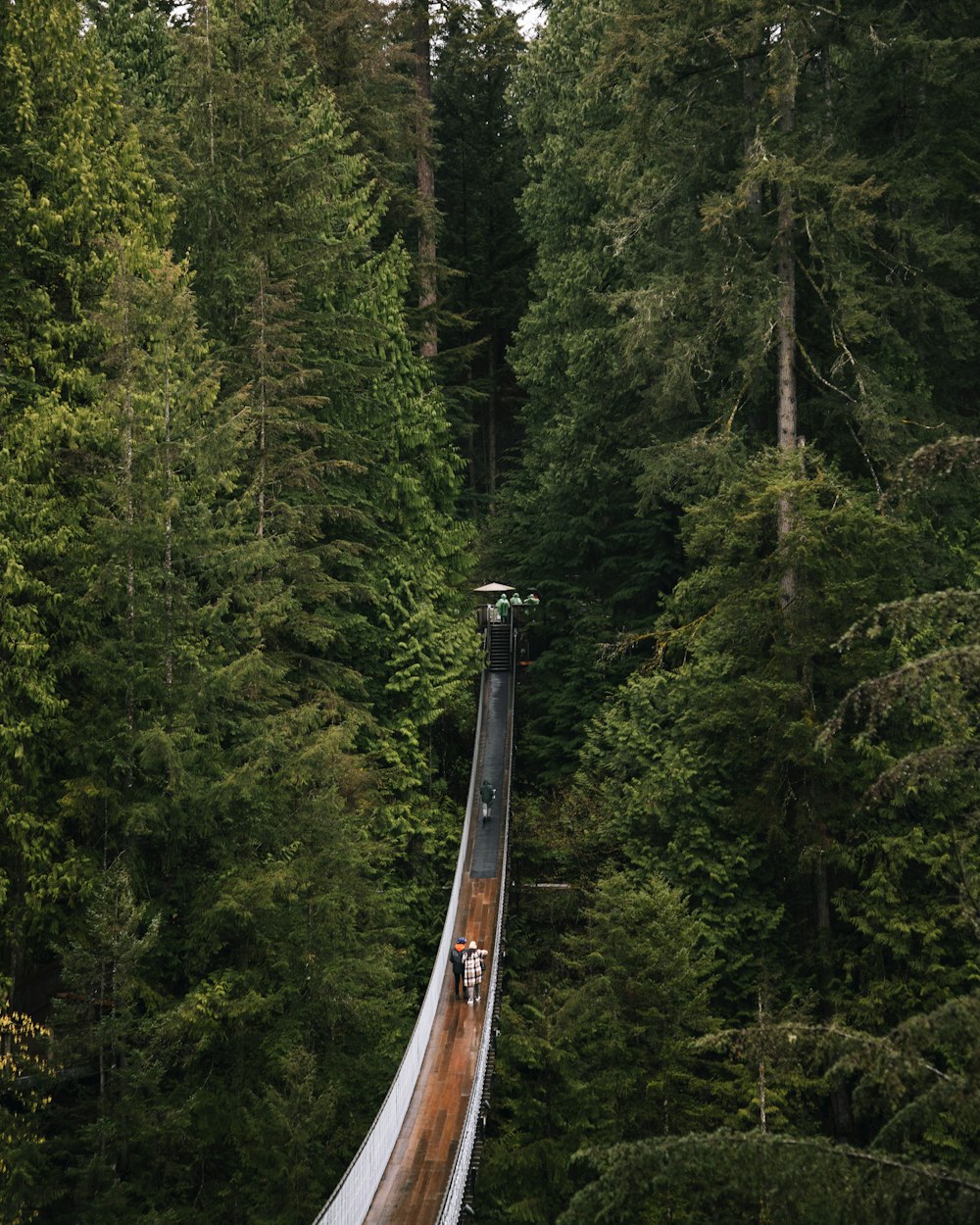 a person on a zip line