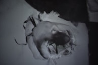 An artistic shot of a dancer mid-motion, captured with sharp contrast highlighting graceful lines.