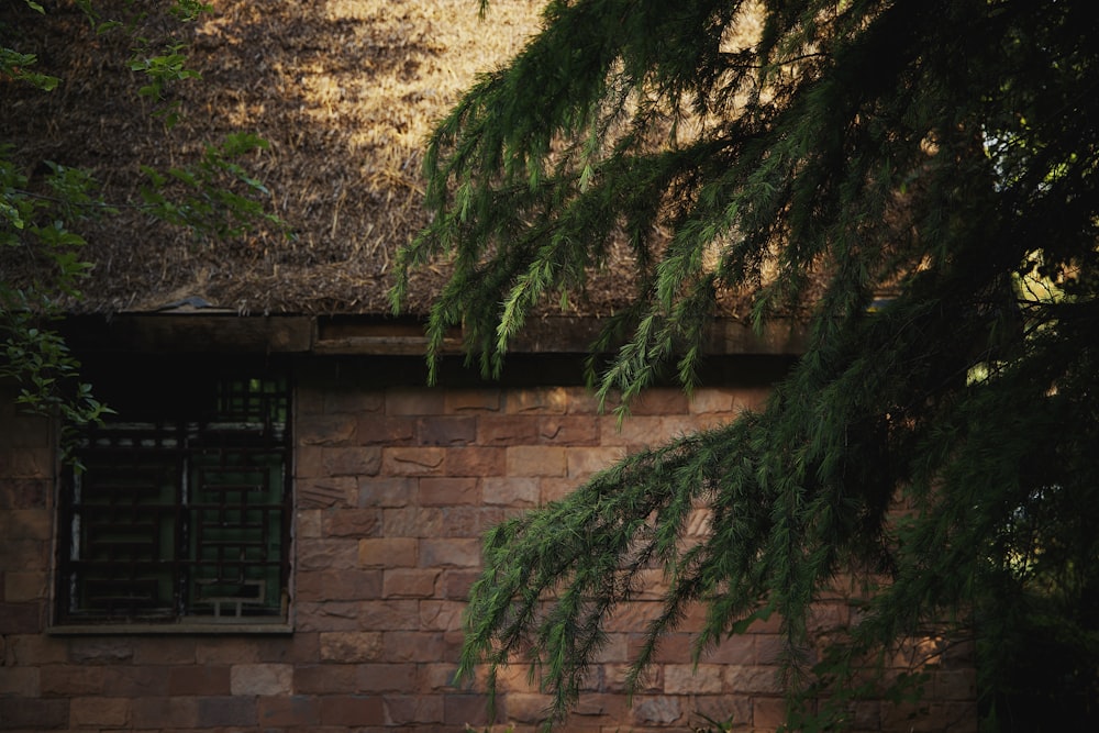 a tree next to a brick building