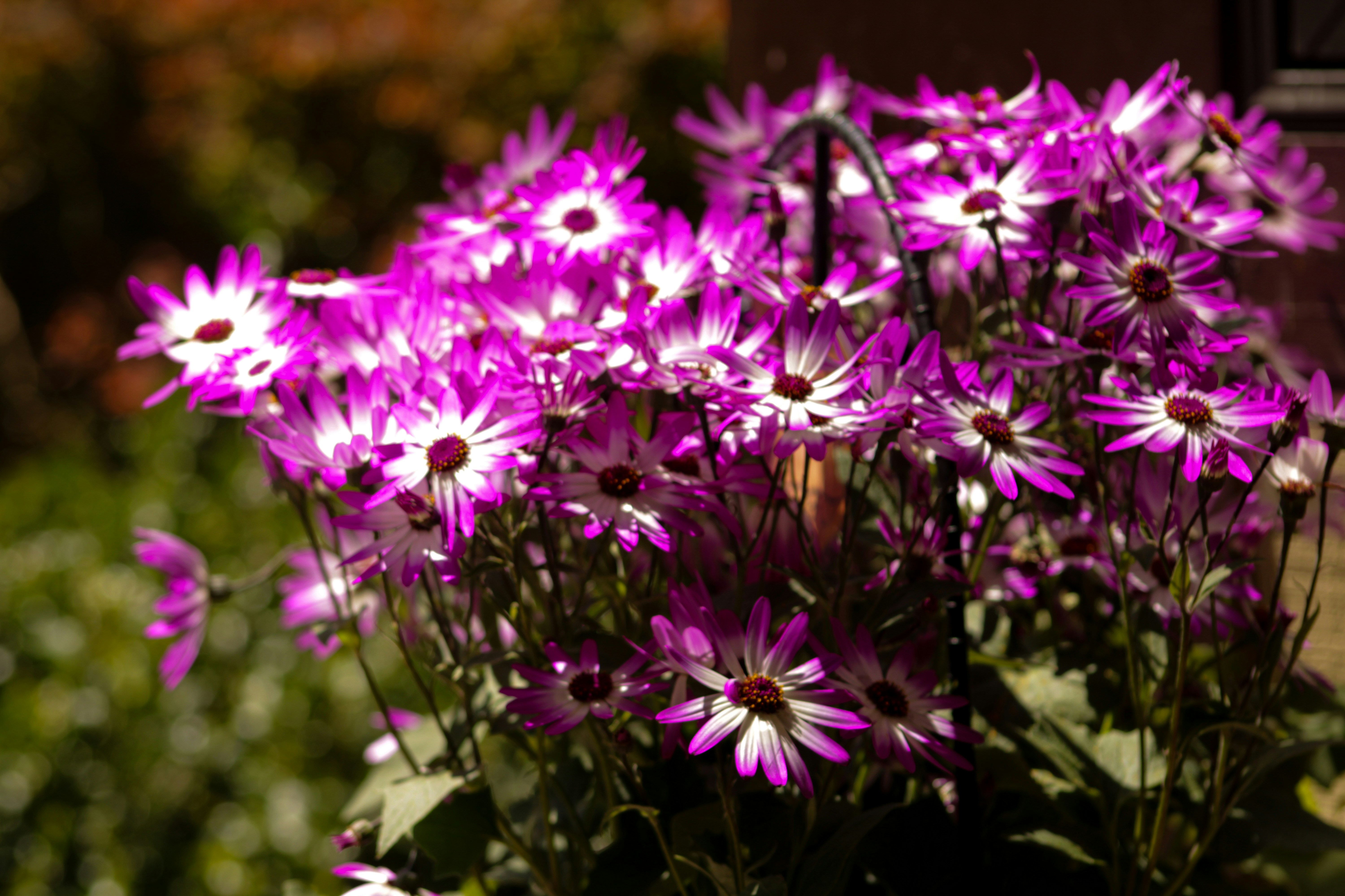 Photo by ashlynnephotos