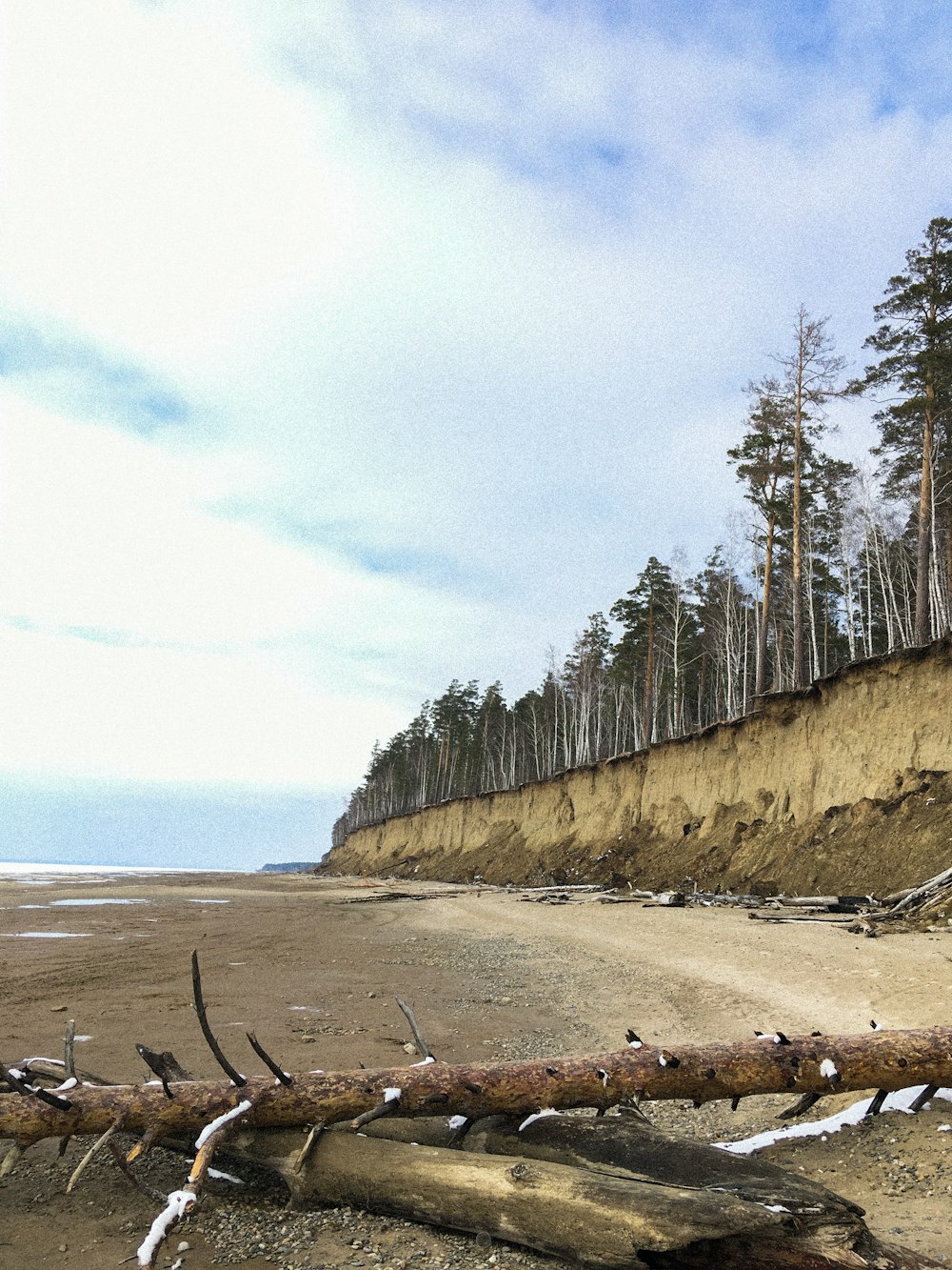 a beach with trees and a hill