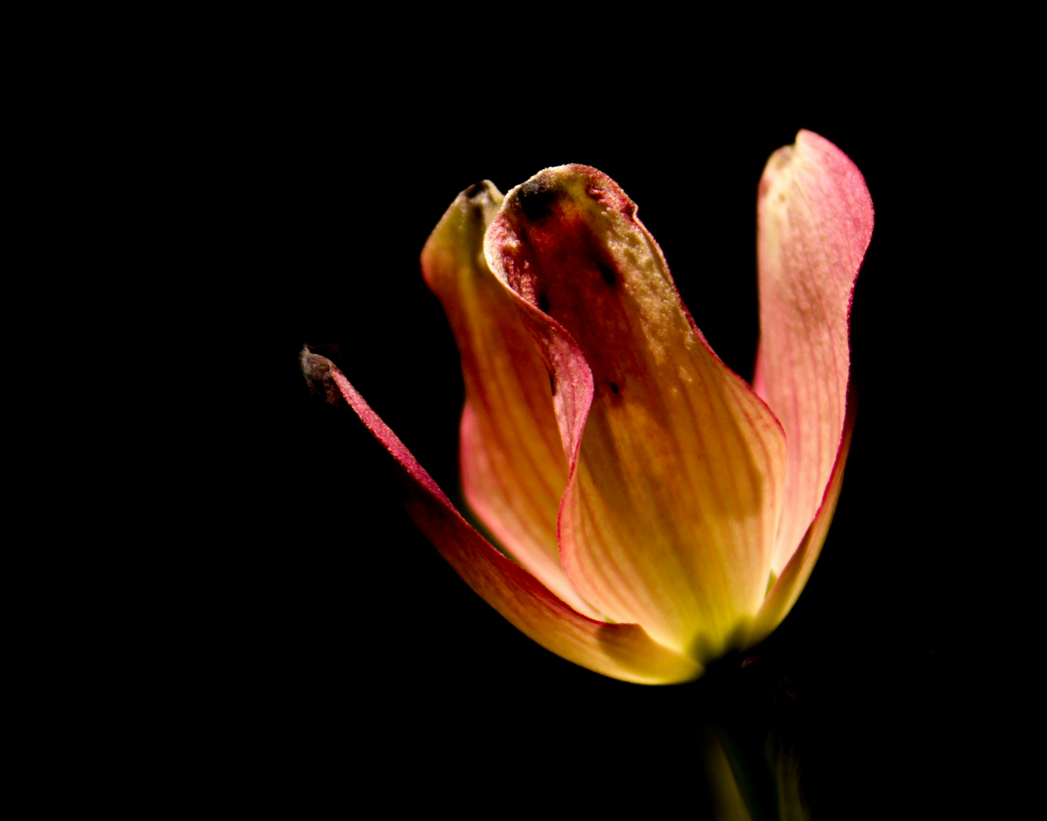 Photo by ashlynnephotos