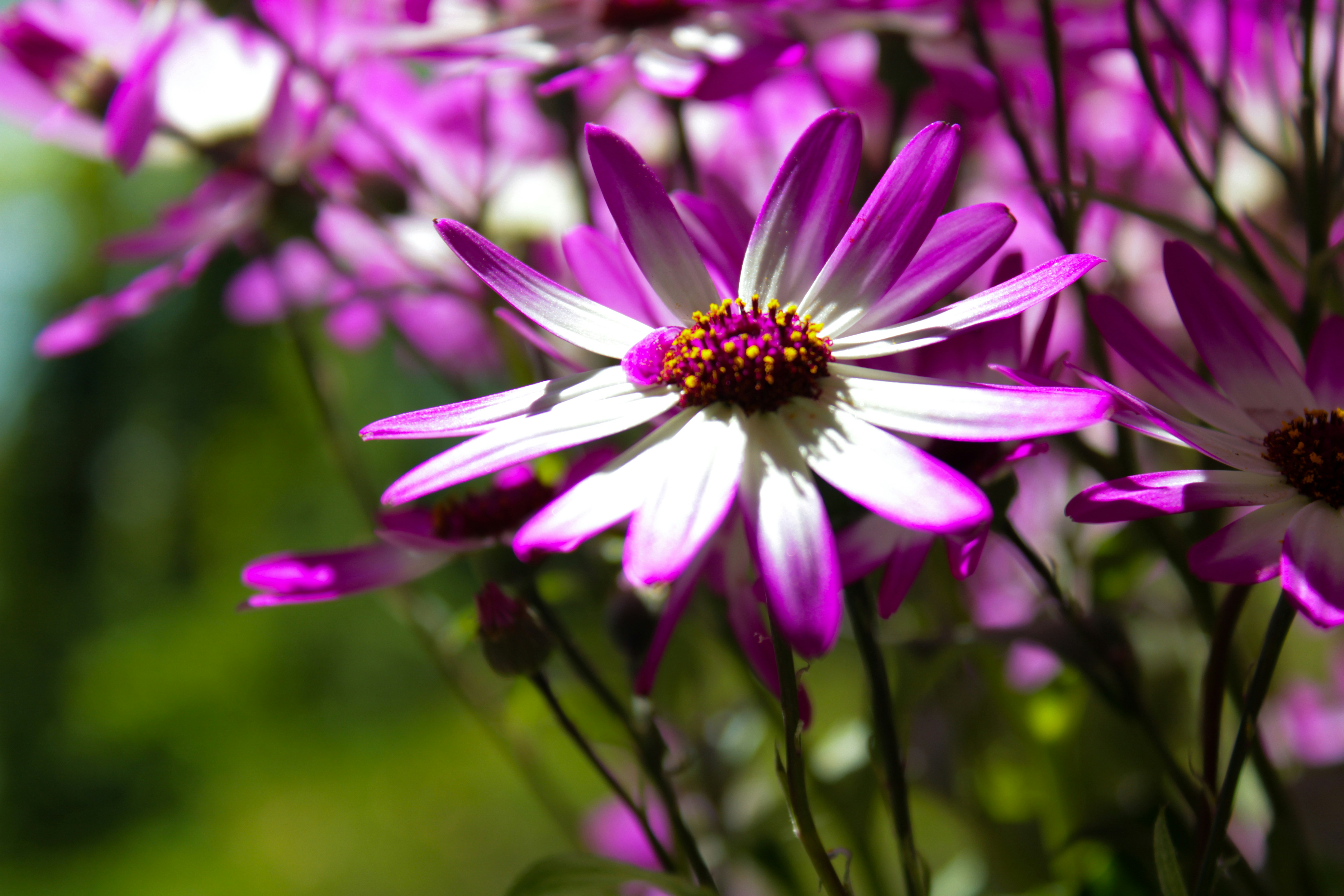 Photo by ashlynnephotos