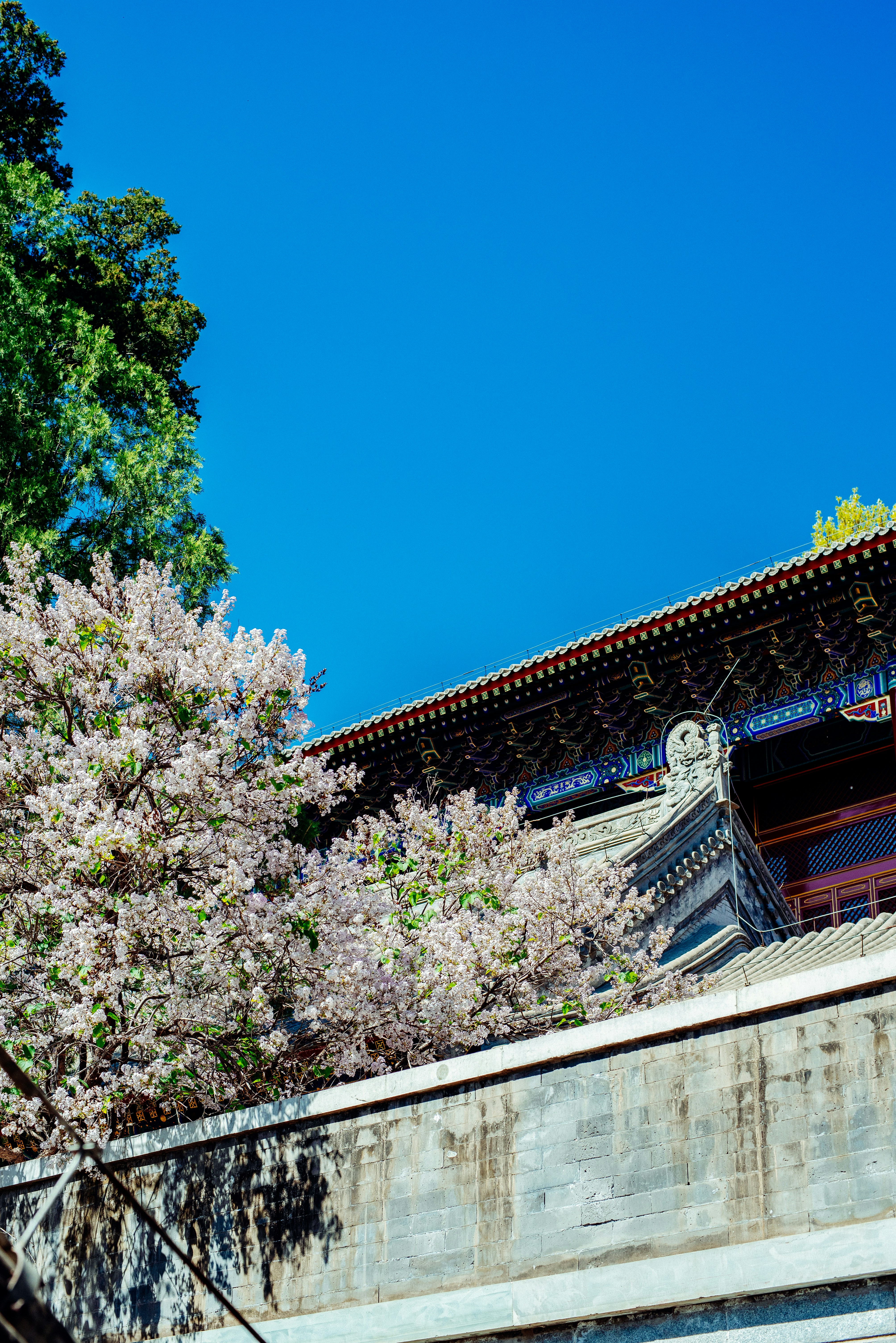 Photo by tommaomaoer