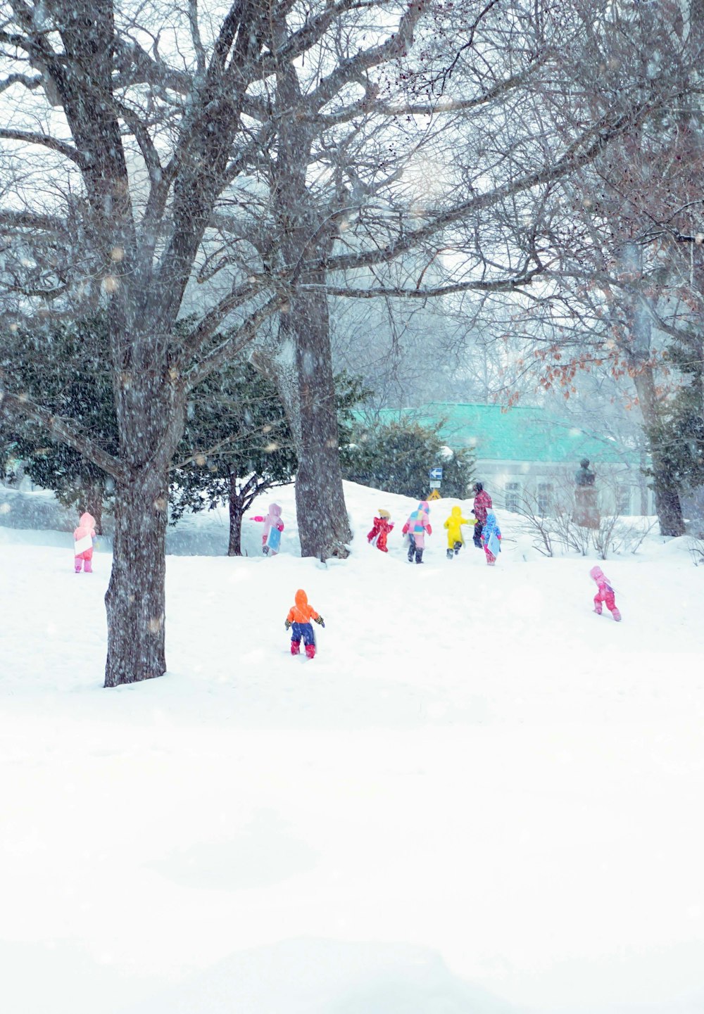 a group of people playing in the snow