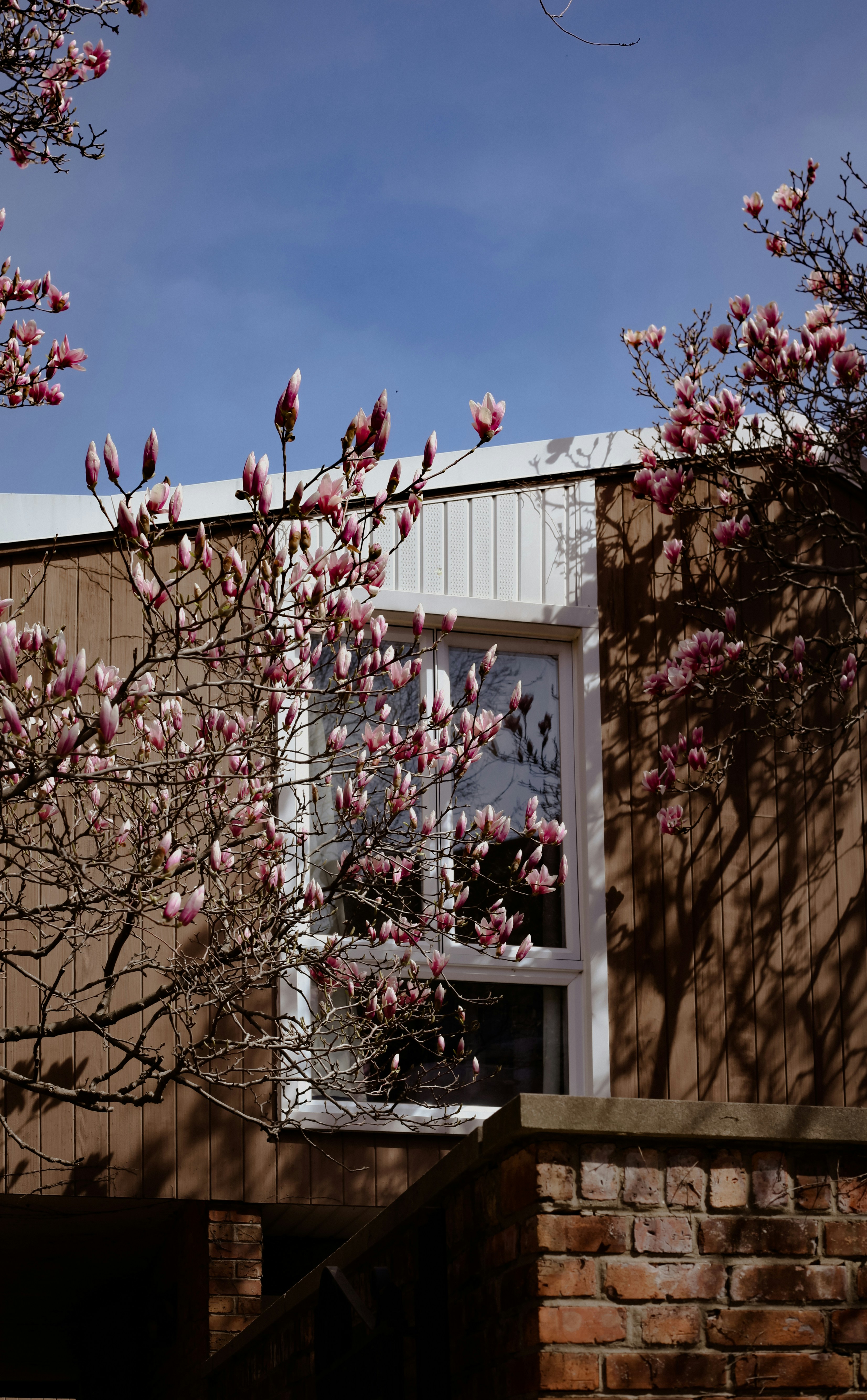 Photo by lizarusalskaya