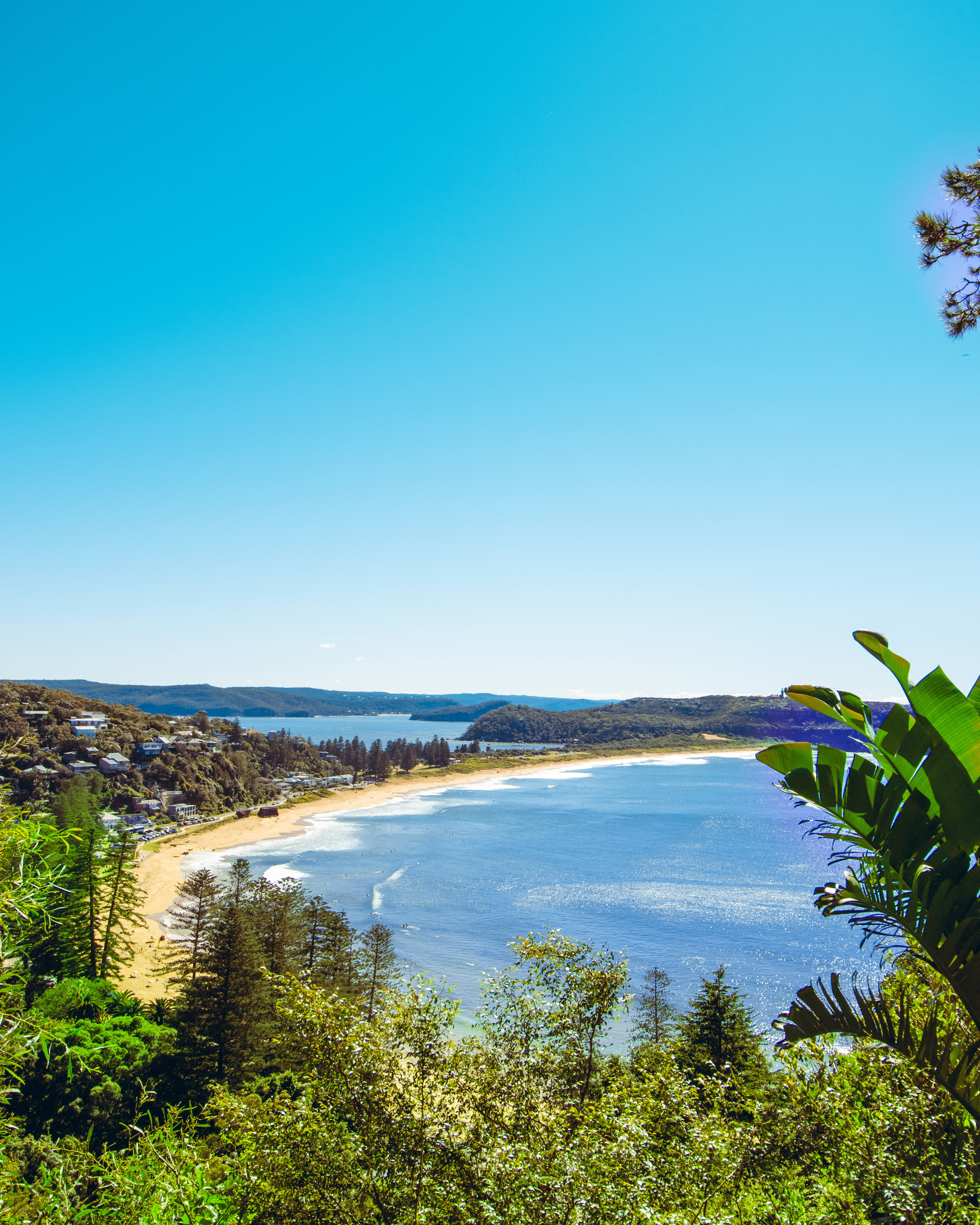 Photo by dynamite_luke