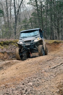 A rugged off-road trail winding through dense forest, perfect for UTV adventures.