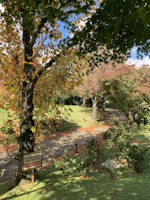 A serene outdoor setting with a pathway lined by trees showcasing a mix of green and autumnal foliage. In the foreground, there is a sign in Portuguese reading 'Propriedade Particular, Entrada Proibida', indicating private property and restricted access. The bright sunlight casts shadows, enhancing the vividness of the scene.