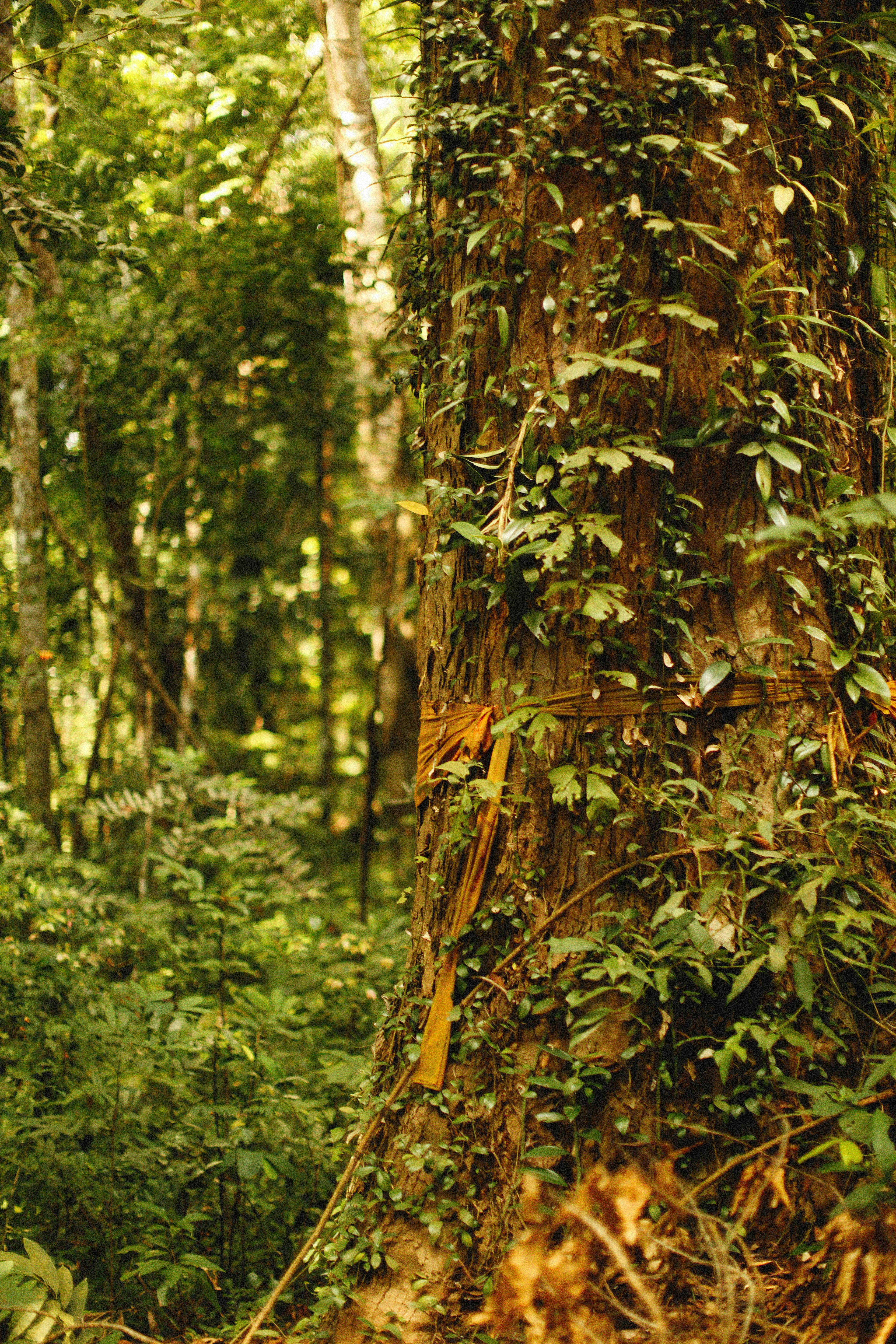 Photo by alexeydemidov