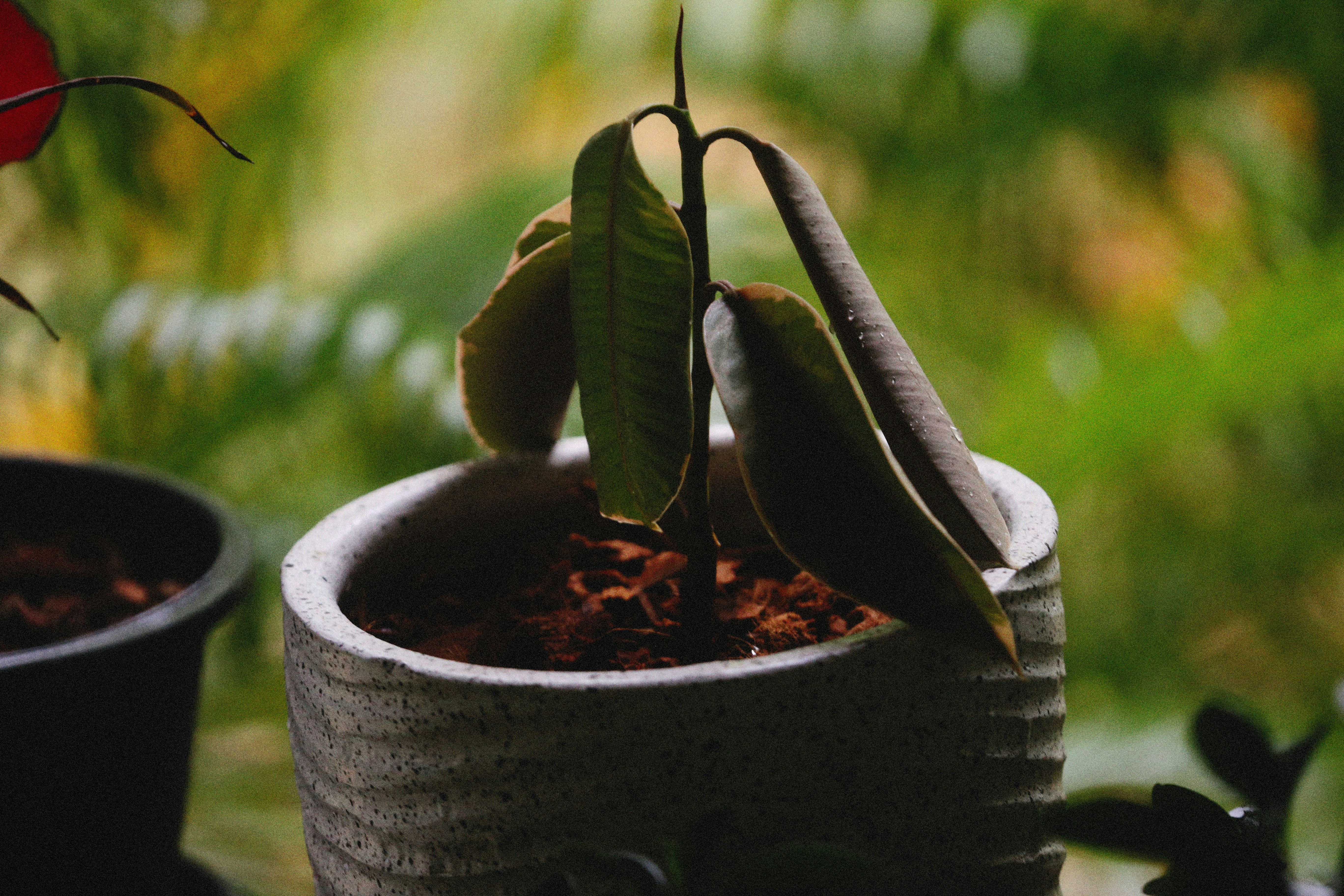 Photo by alexeydemidov