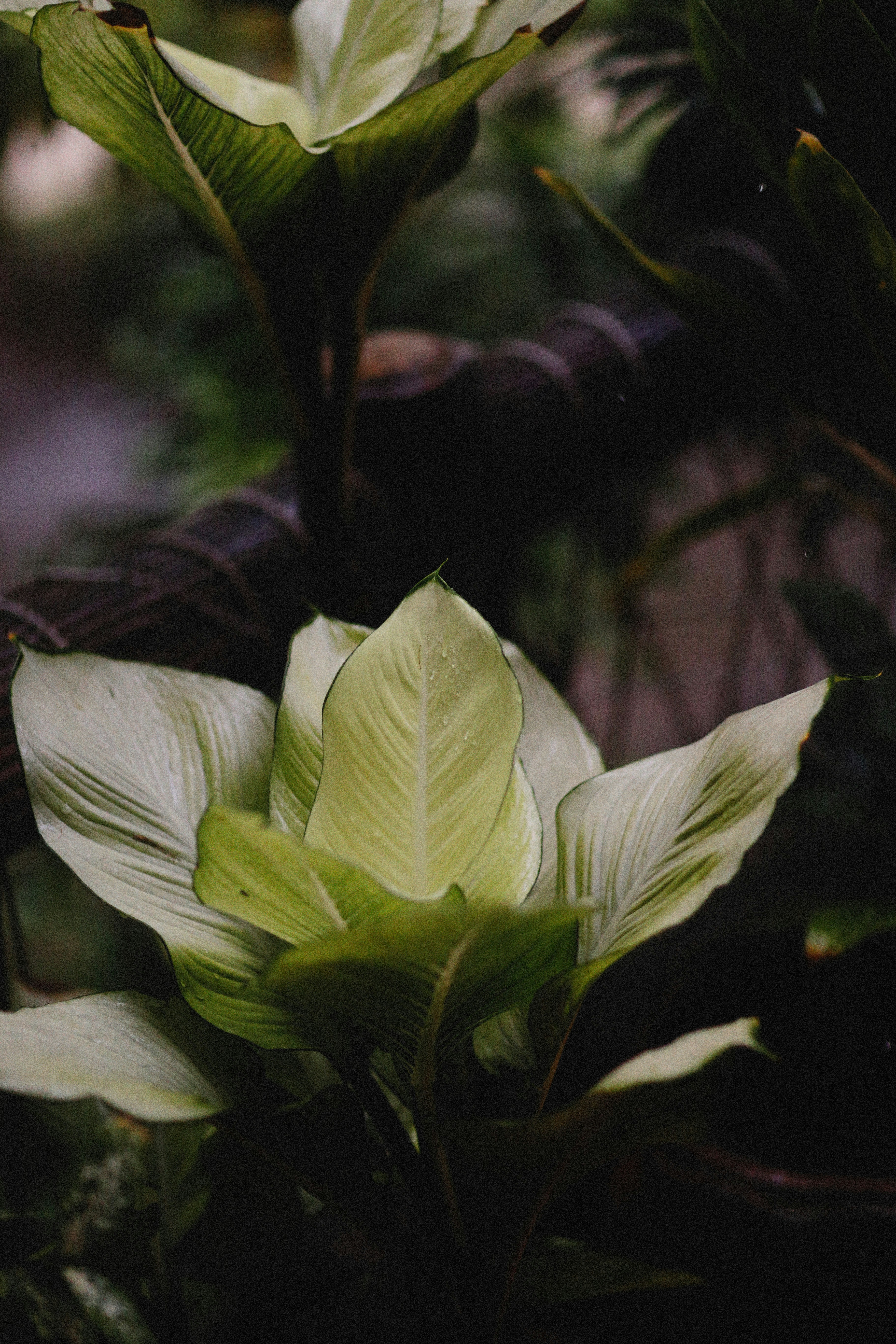 Photo by alexeydemidov