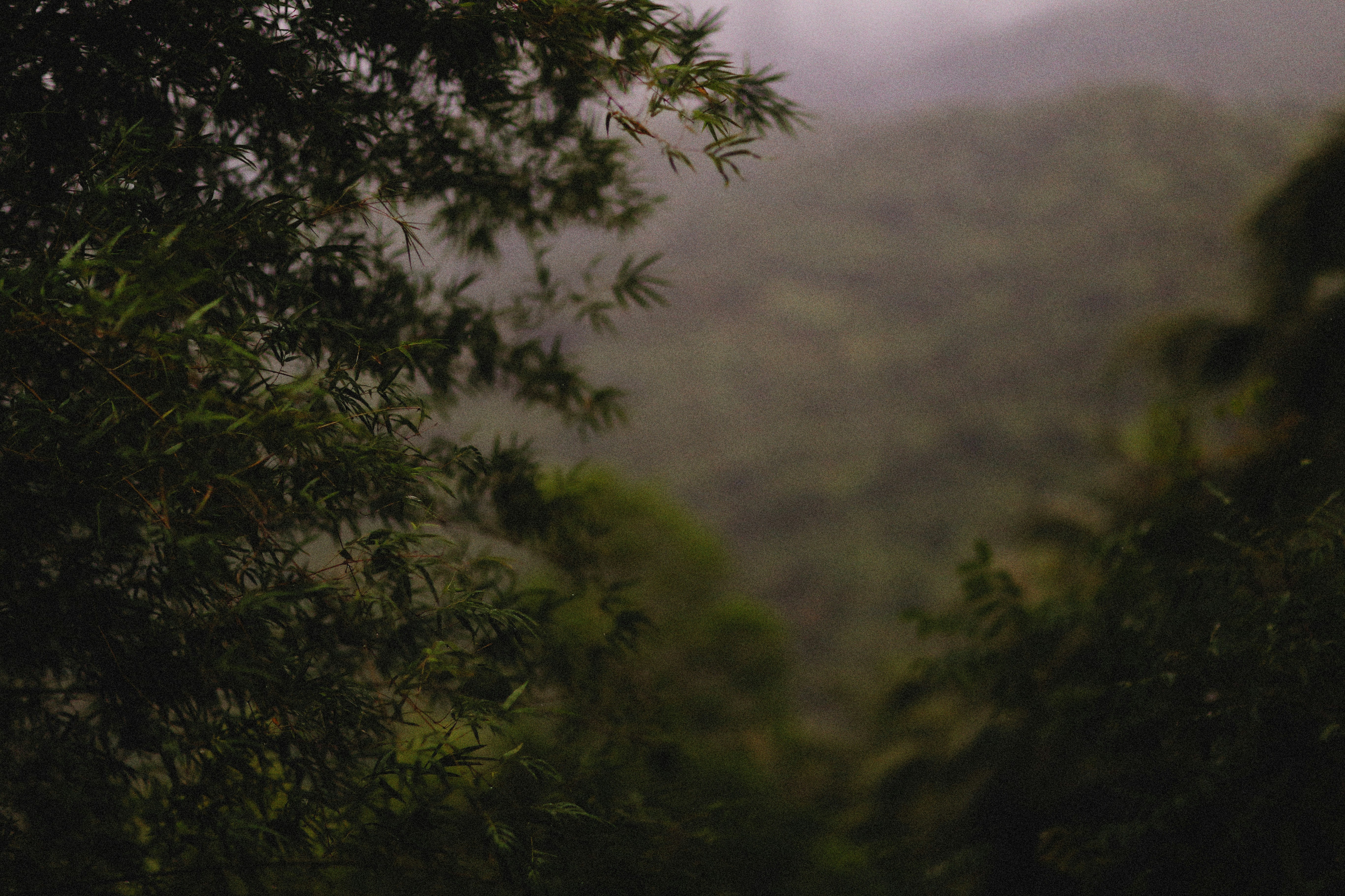 Photo by alexeydemidov