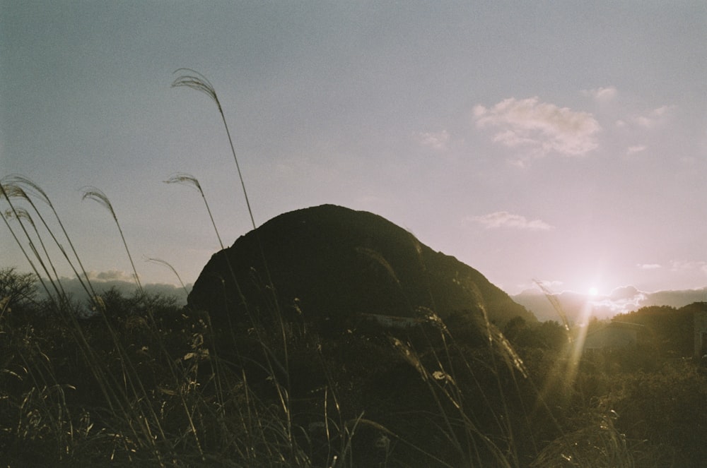 a tent in a field