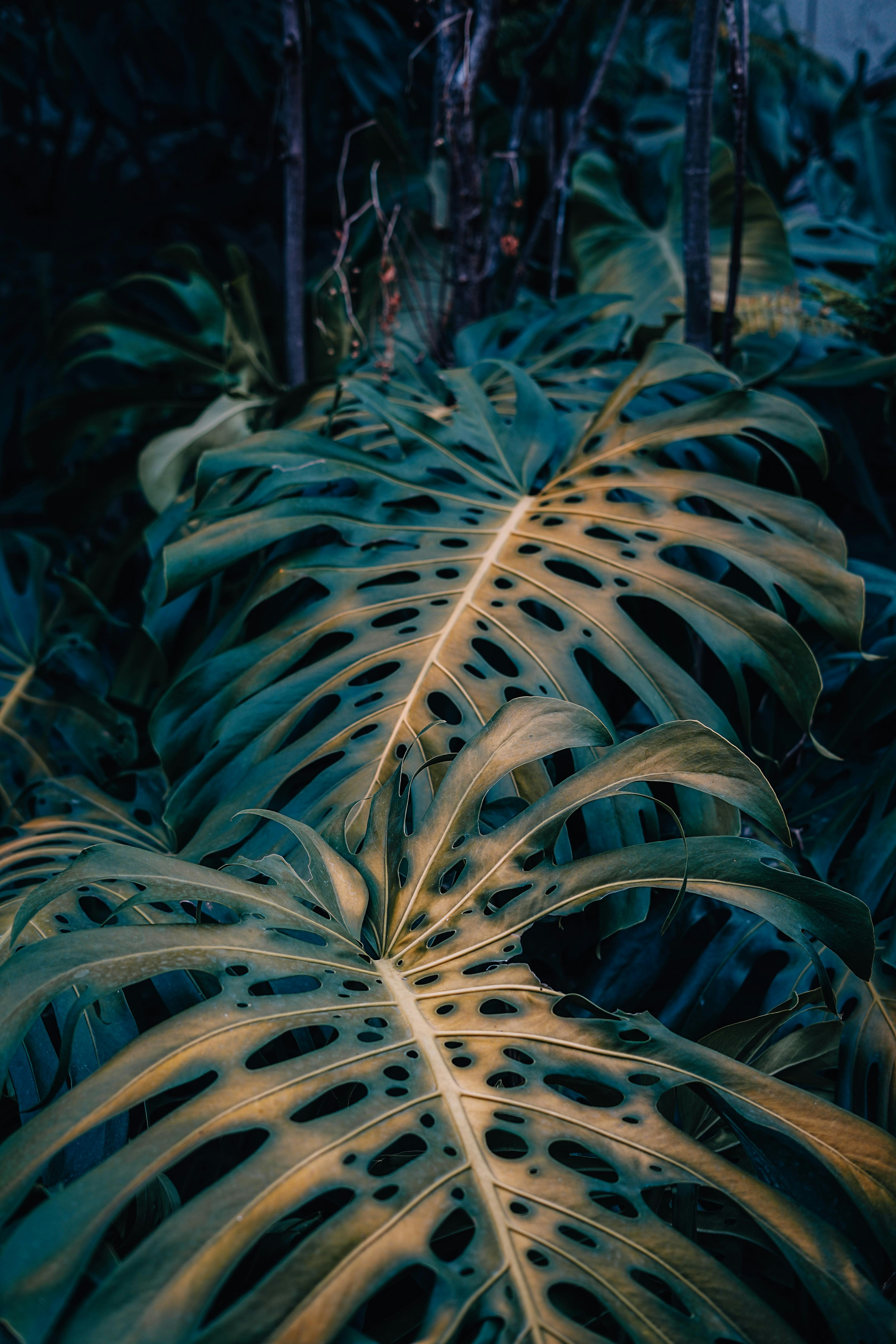 Photo by annastampfli