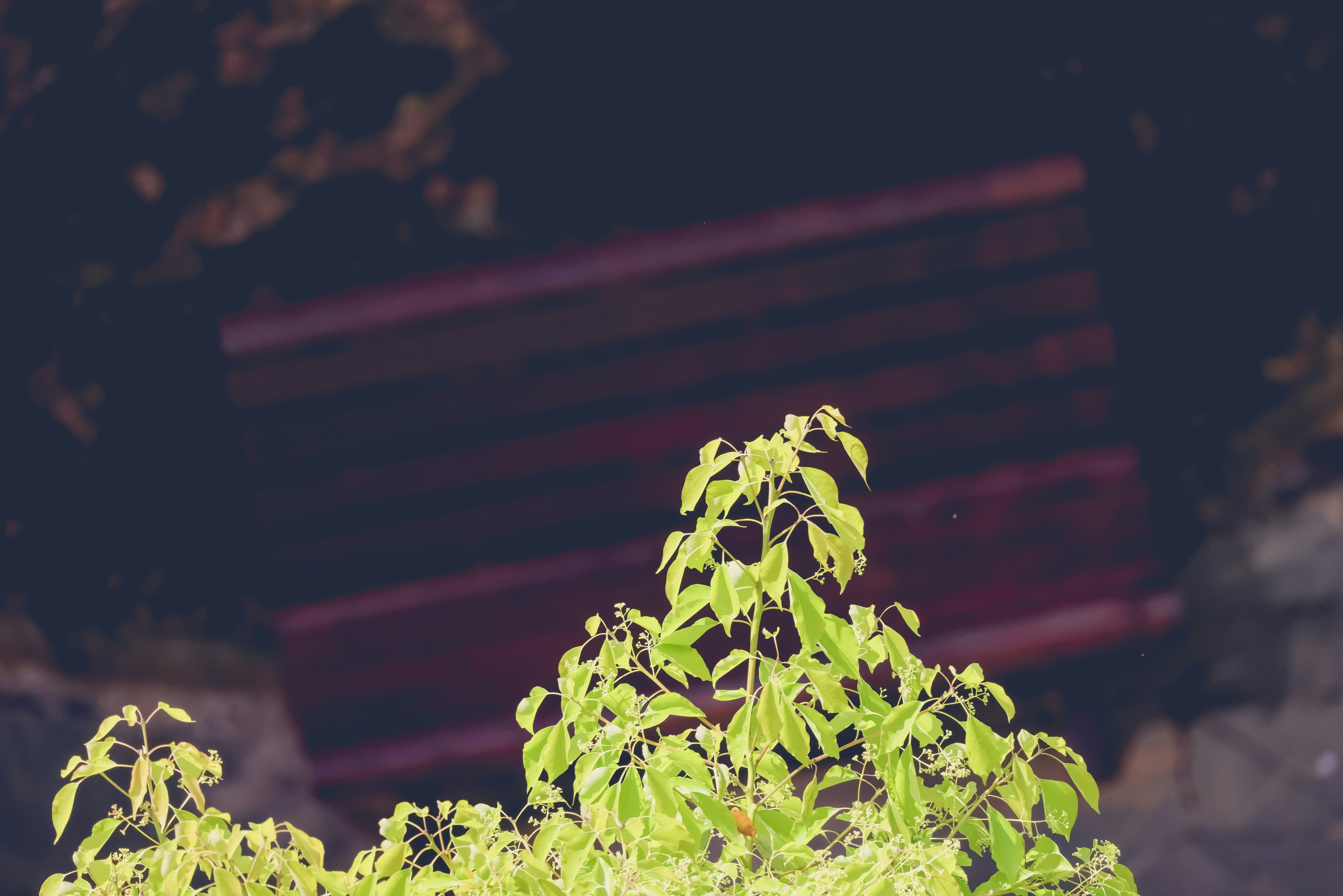 Photo by arttoinspire