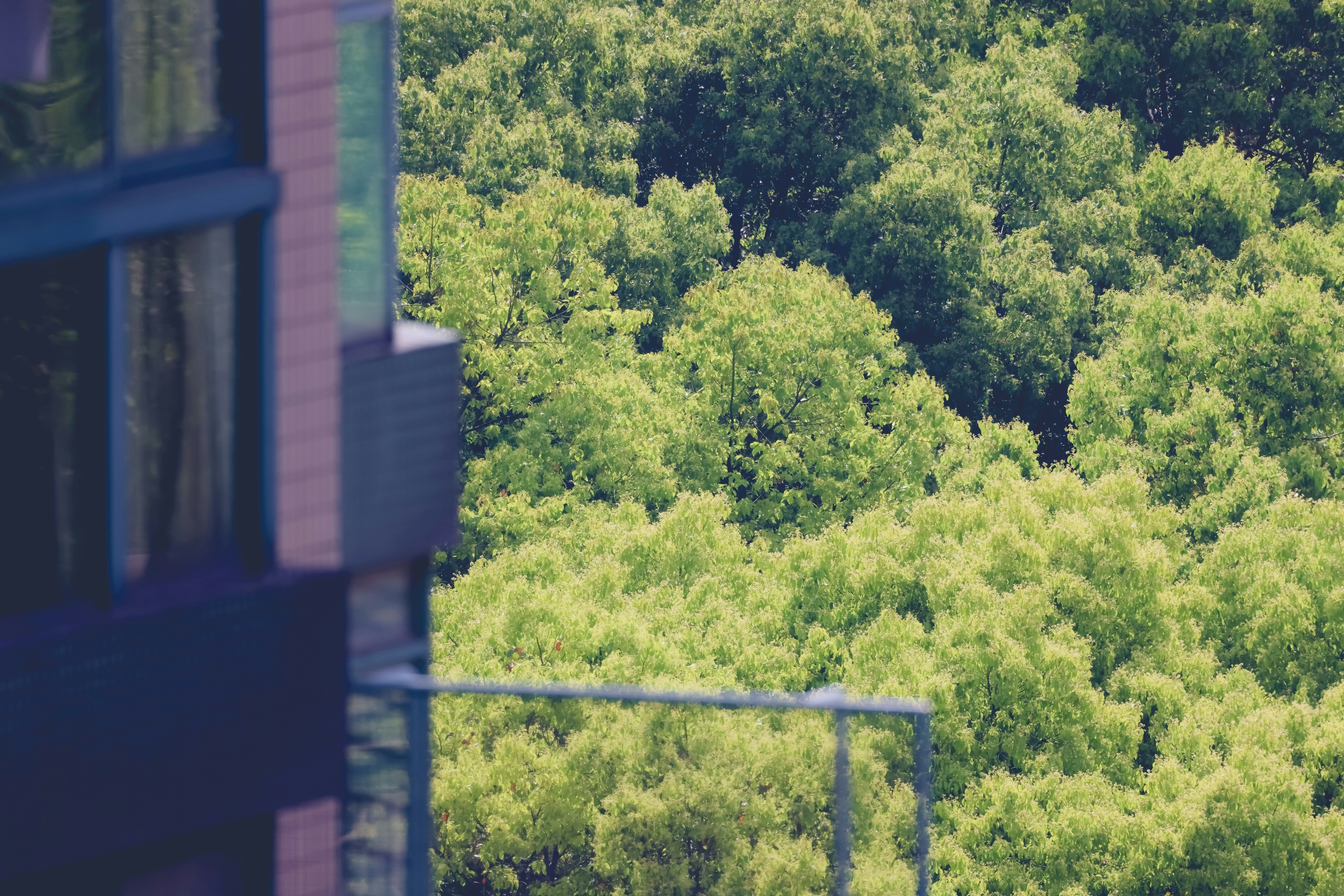 Photo by arttoinspire