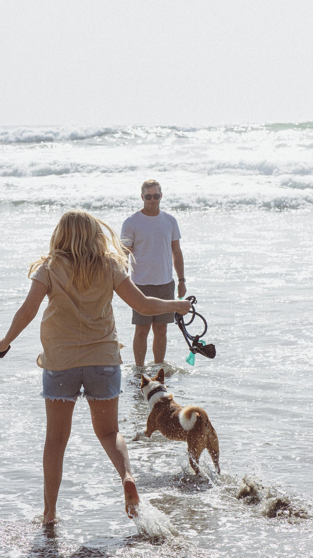 a man and a woman walking a dog on the beach
