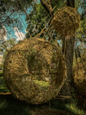 Artwork suspended between two trees, blending into the forest background with earthy tones.