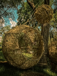 Spherical sculptures made from woven natural materials are suspended from tree branches in a forest setting. The sunlight filters through the dense foliage, casting intricate shadows and highlighting the textures of the woven structures.