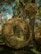 Spherical sculptures made from woven natural materials are suspended from tree branches in a forest setting. The sunlight filters through the dense foliage, casting intricate shadows and highlighting the textures of the woven structures.
