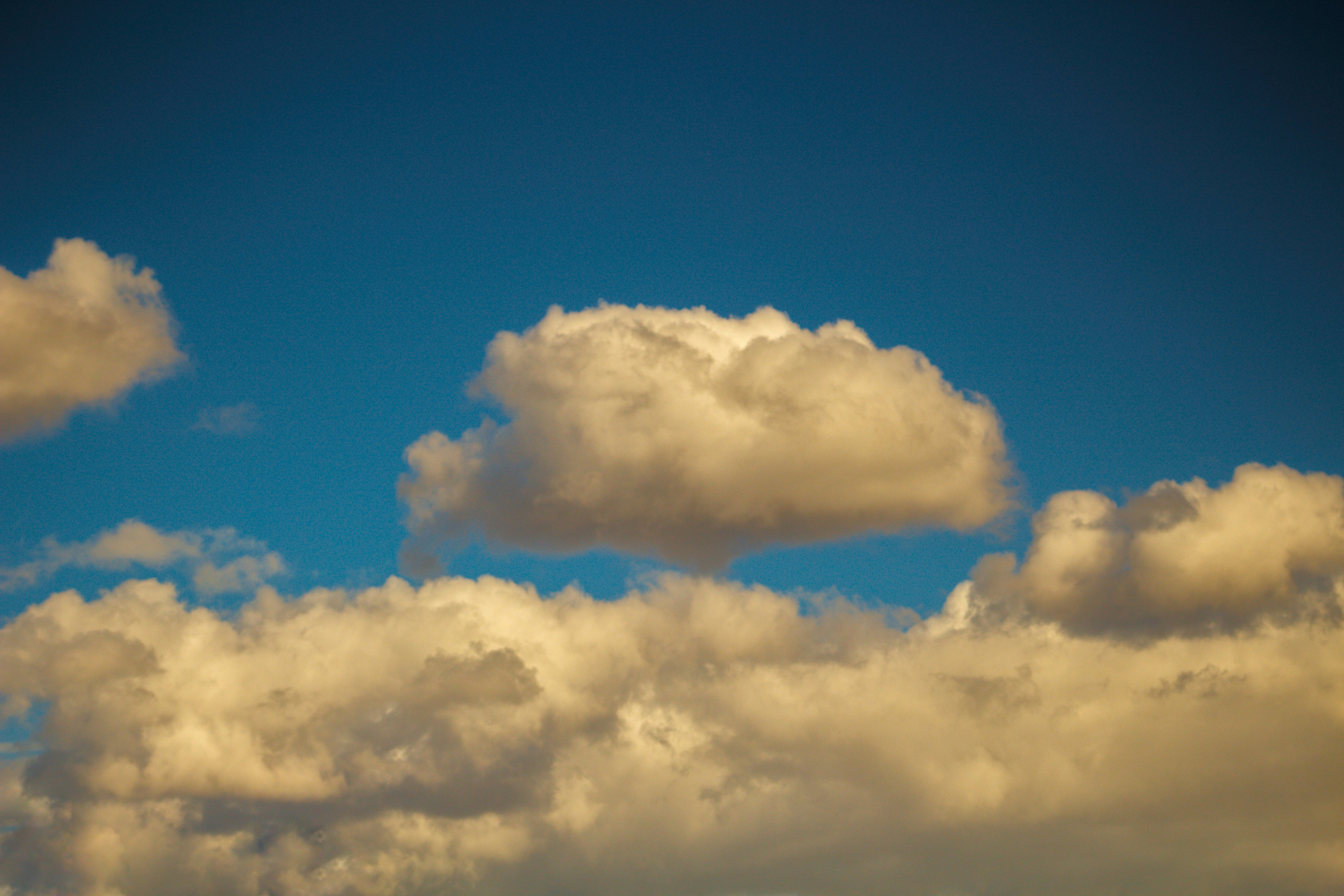 Photo by joshua_hoehne